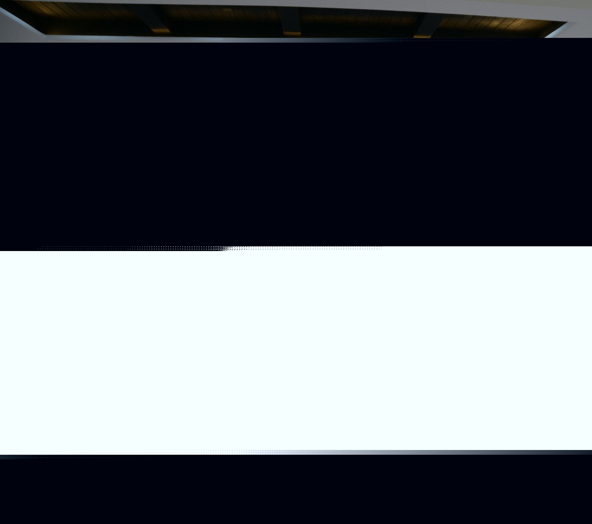 Фото Hotel Redison Blue Area