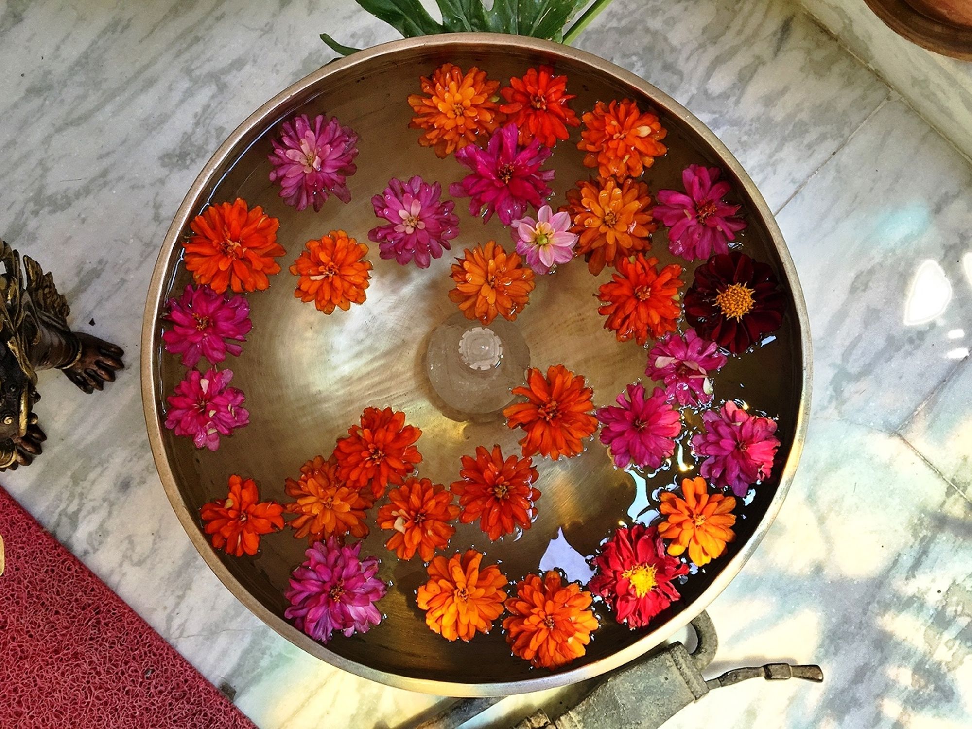 Фото Shakya House