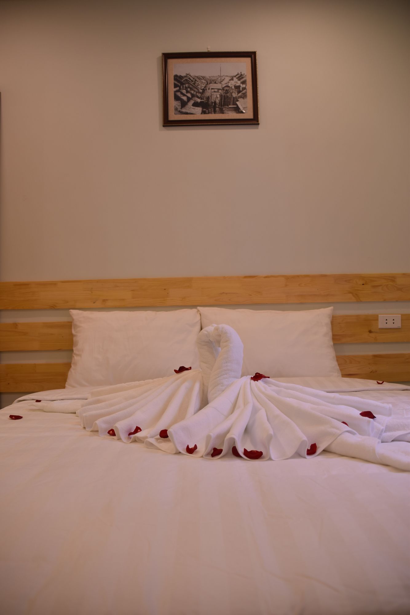 Фото Hanoi Street View Hotel