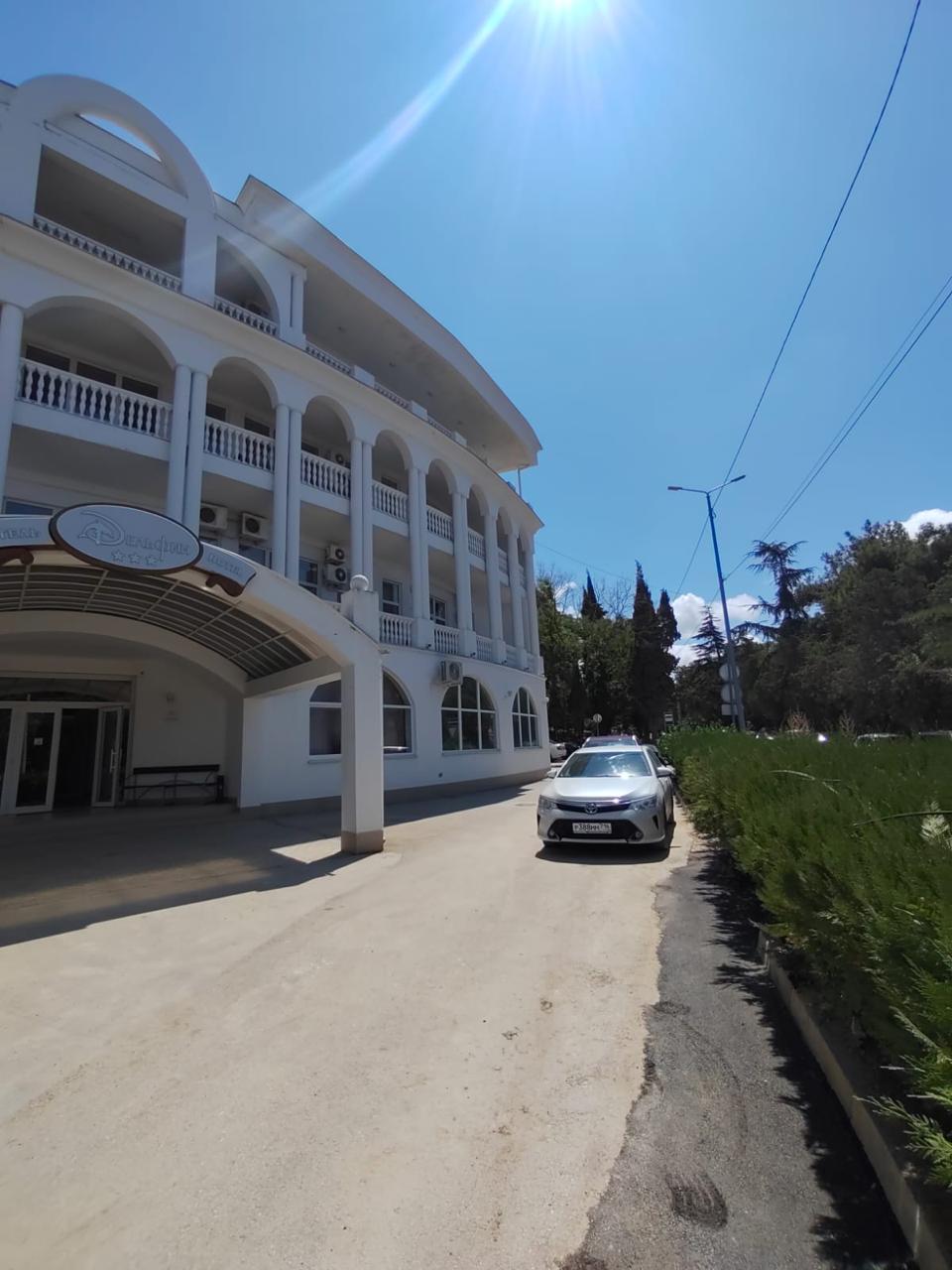 Фото Дельфин