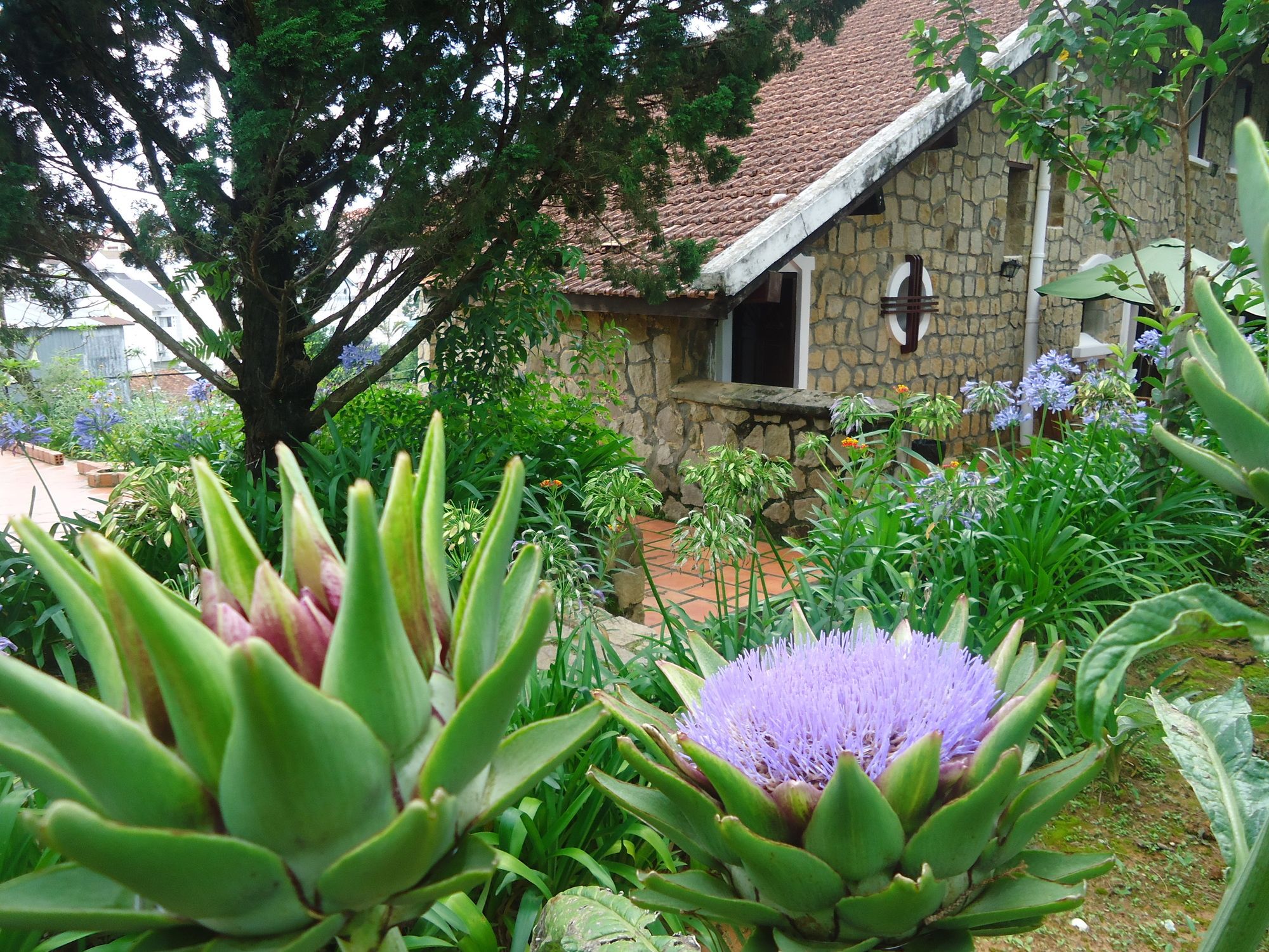 Фото Dalat Train Villa