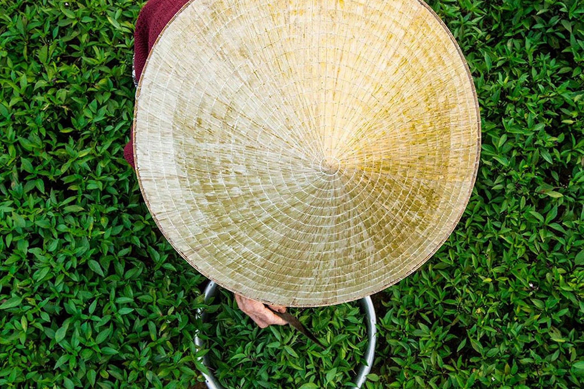 Фото Cam Nam Homestay