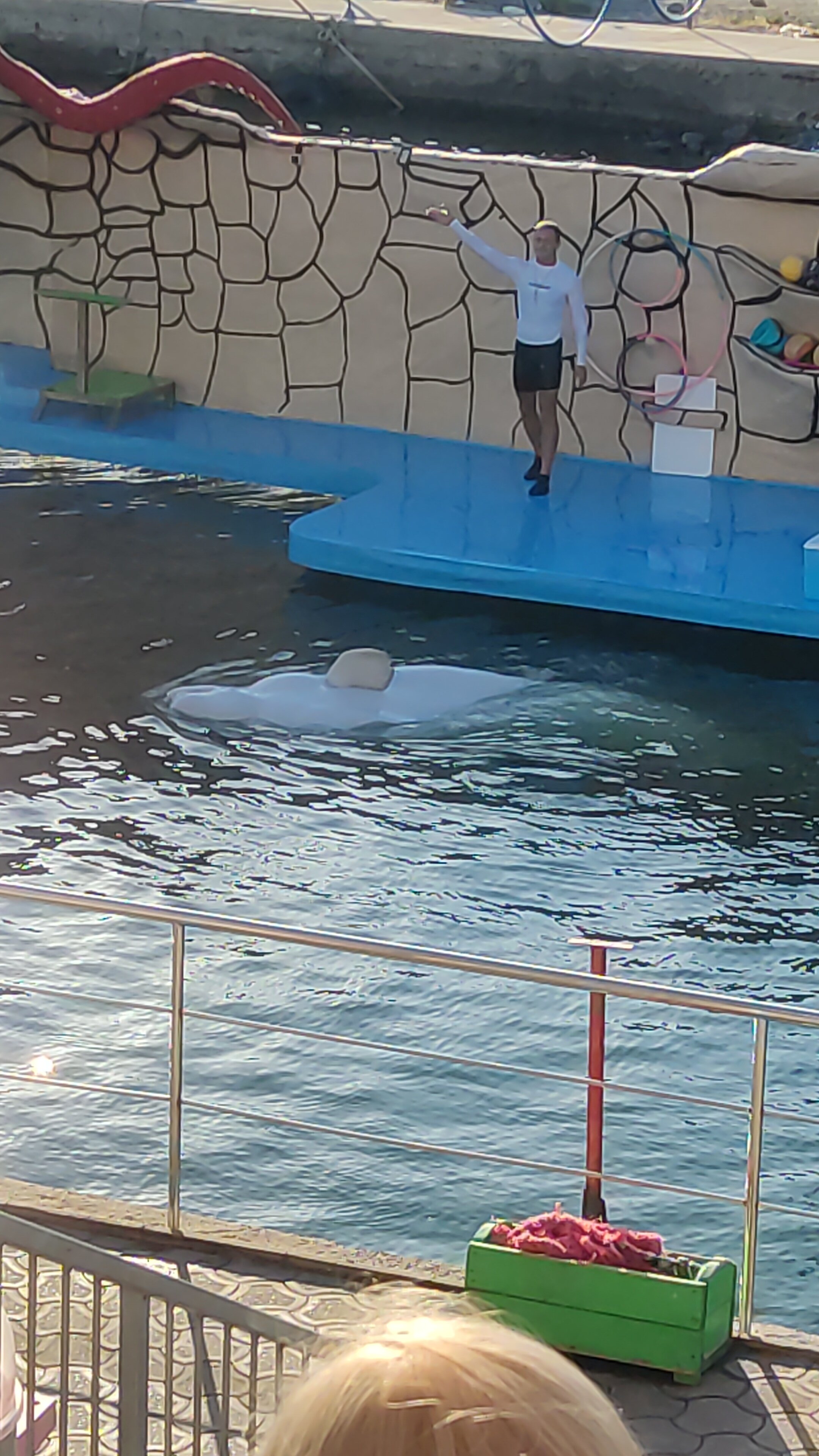 Фото Гранд Вавилон