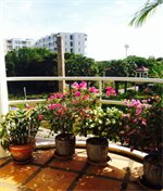 Фото Corner Cafe Bed and Breakfast