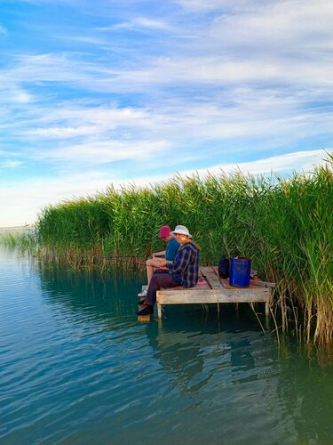 Бальзак дәуіріндегі орыс жынысы