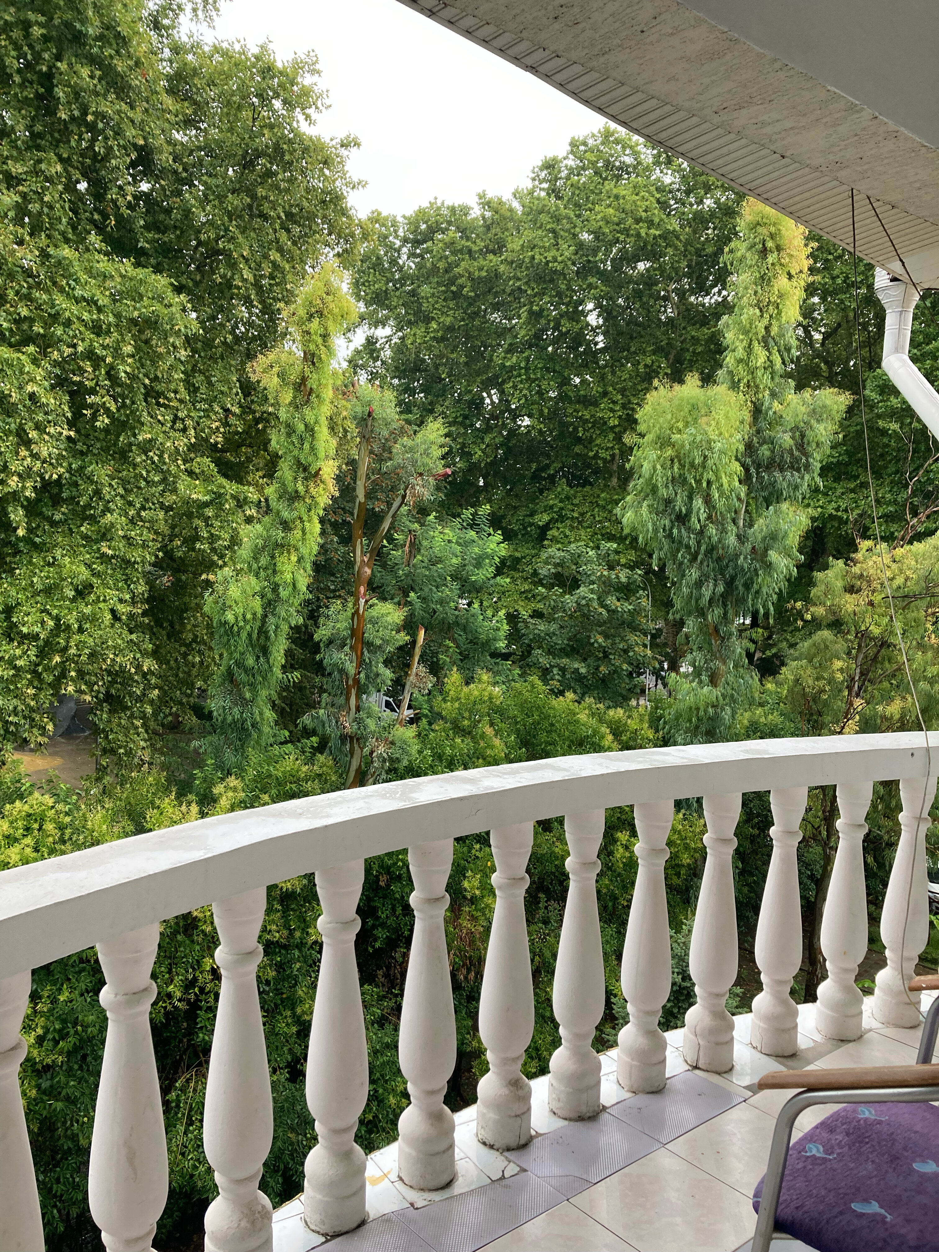 Фото Ellison Мечта