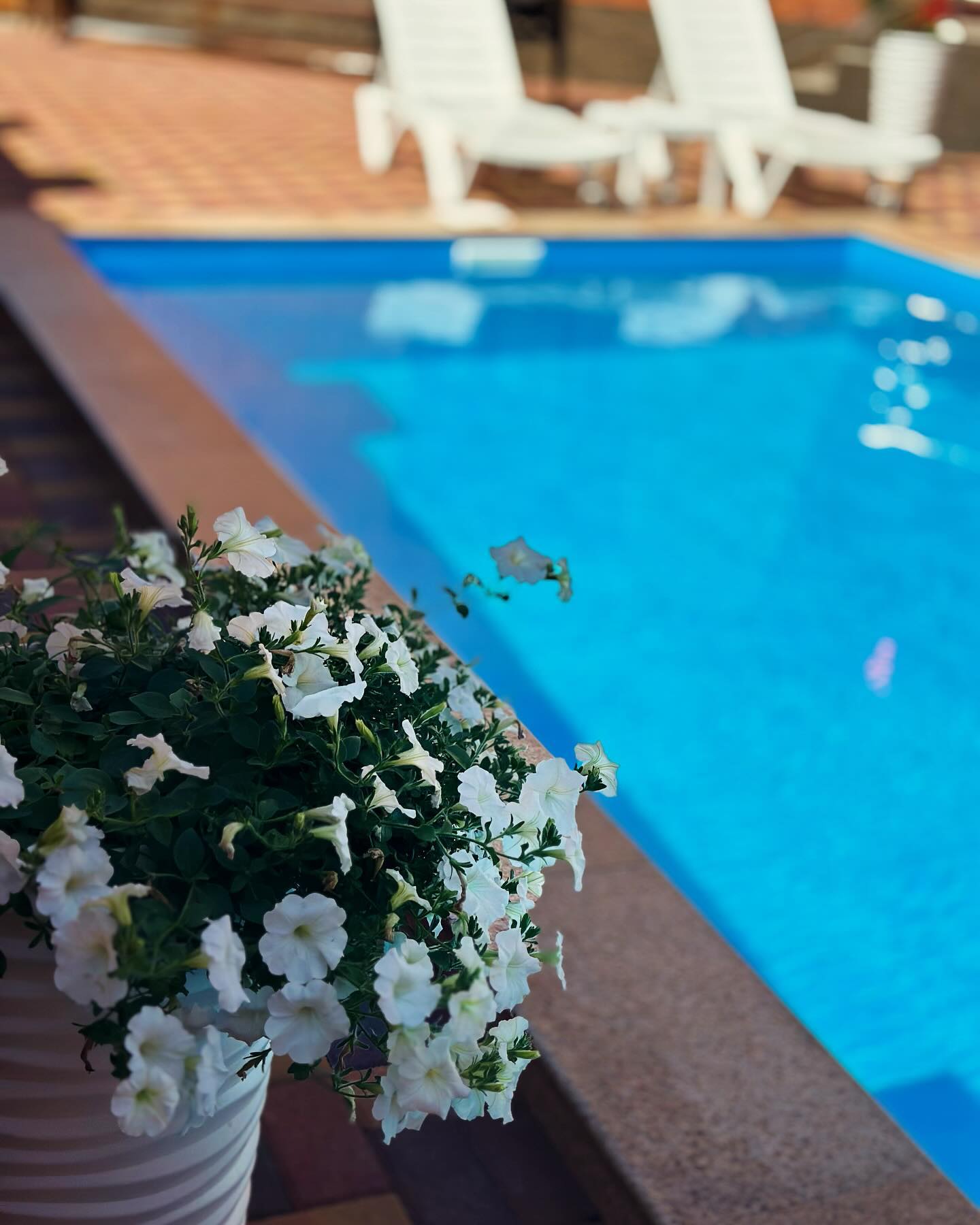 Фото Ветерок