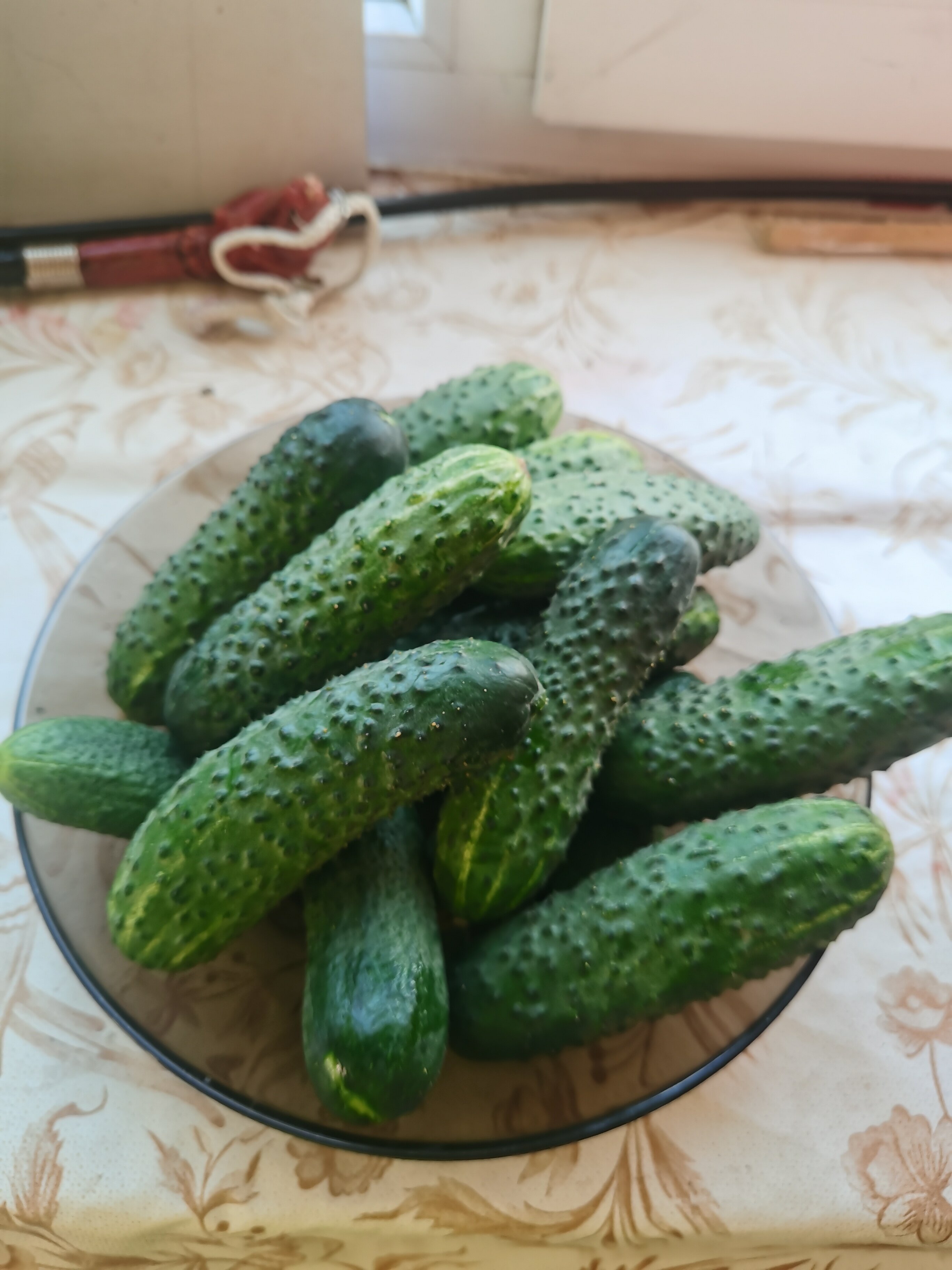 Фото Гостевой комплекс Савапиян