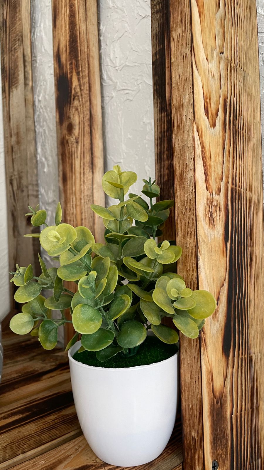 Фото 4сезона