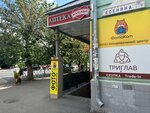 Triglav (Esenina Street, 37/2), phone repair