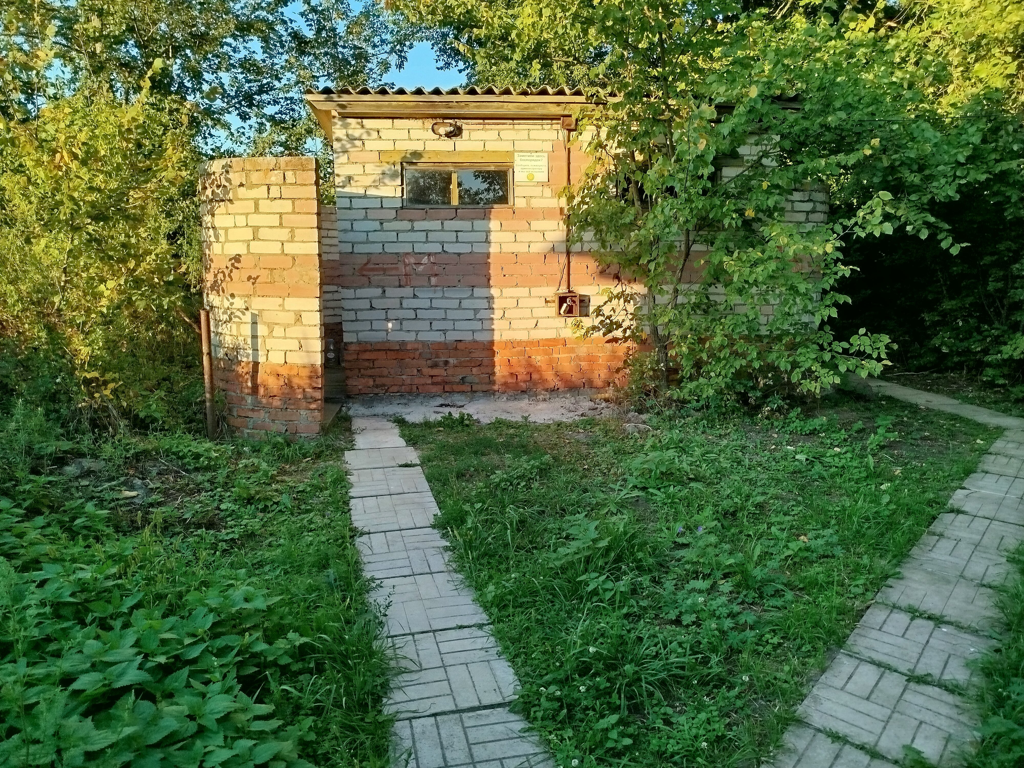 Фото Волшебница