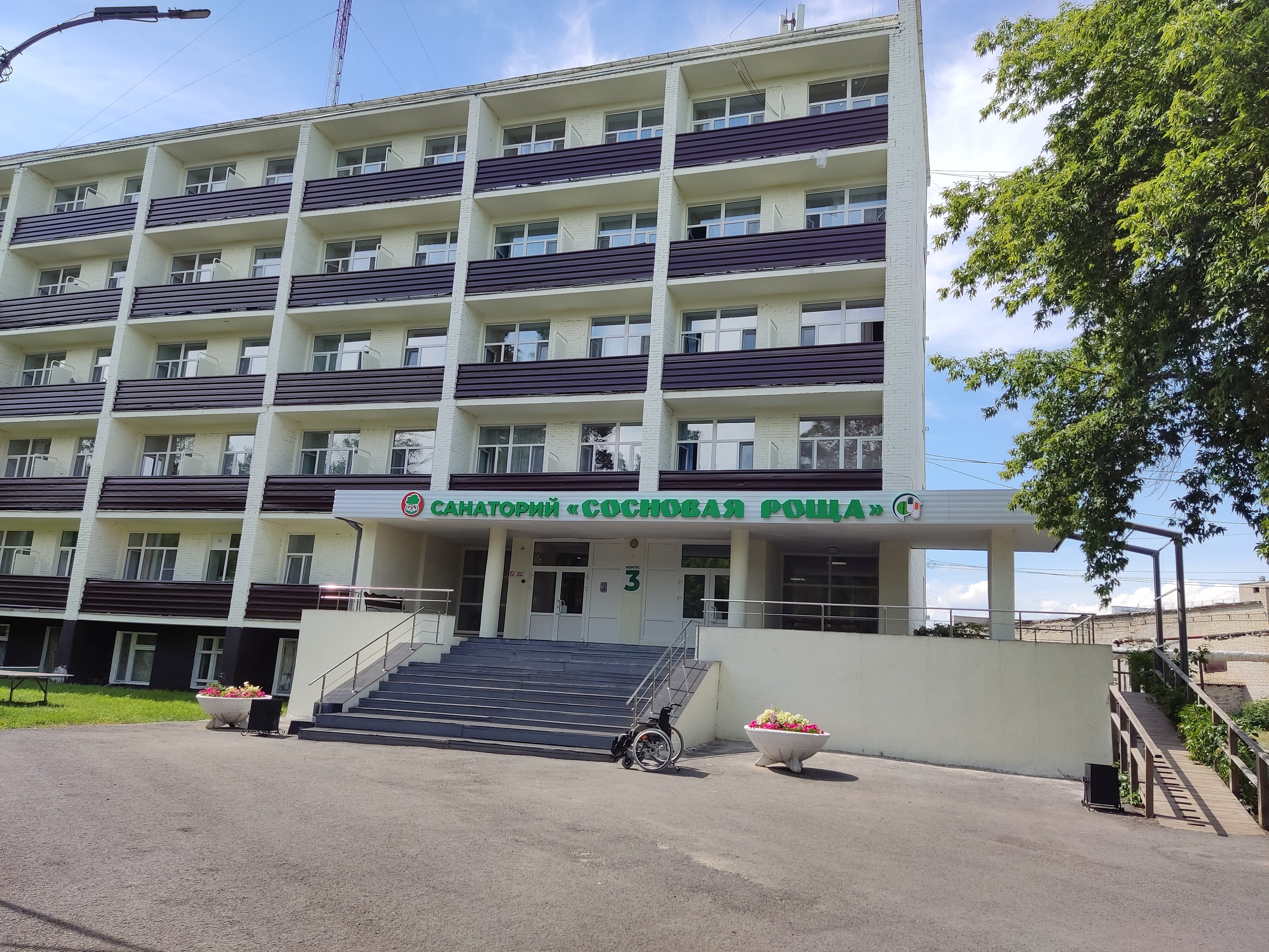 Фото Сосновая роща