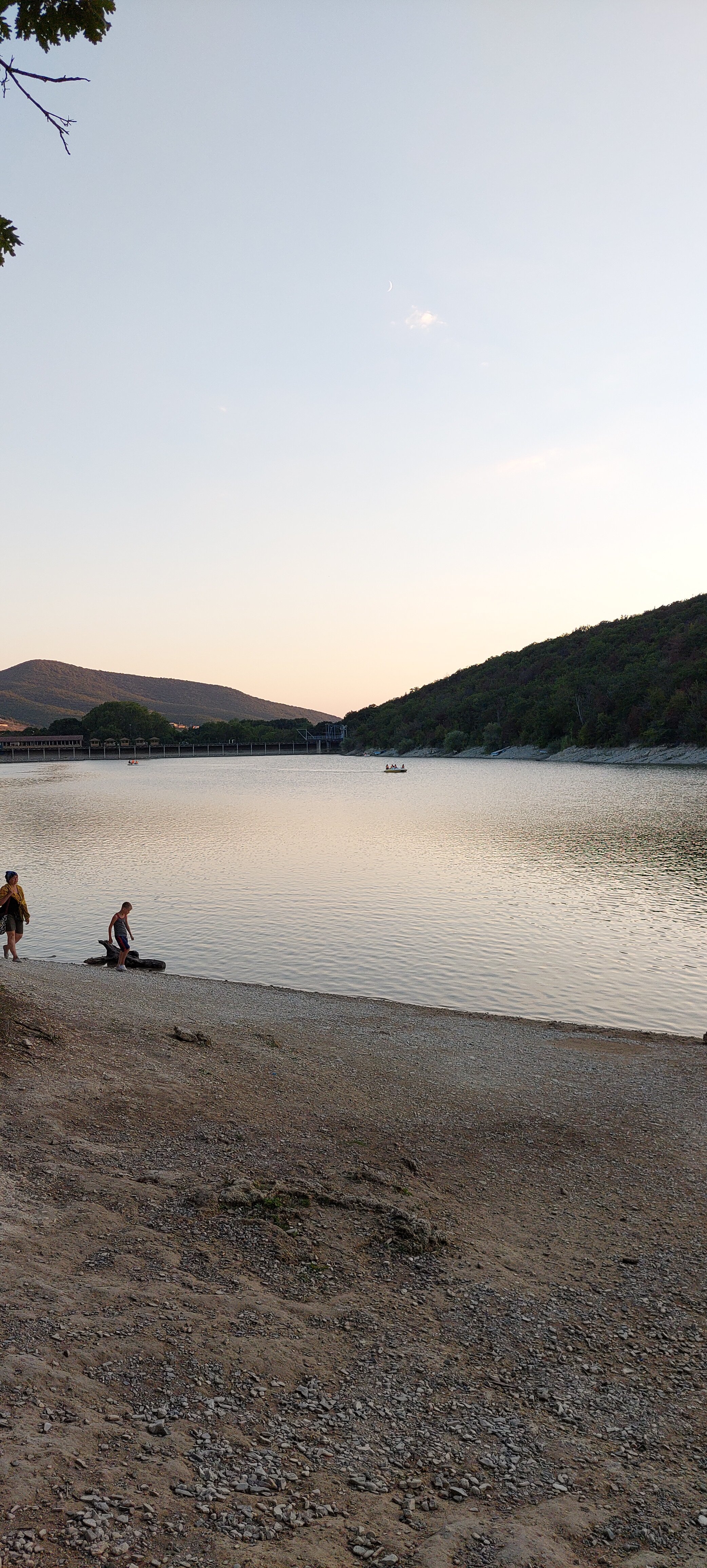 Фото Кипарис