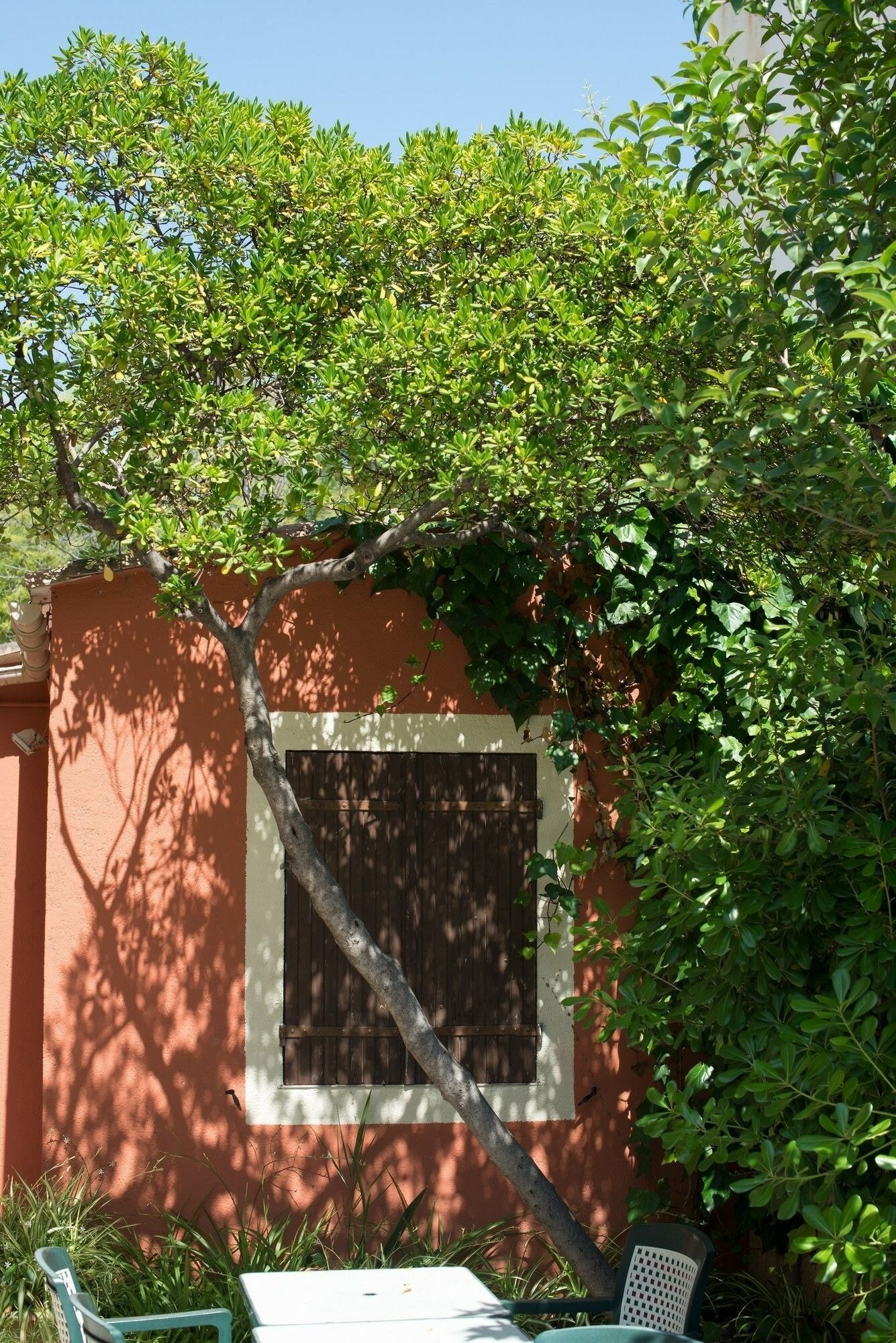 Фото Reine D'Azur Hotel