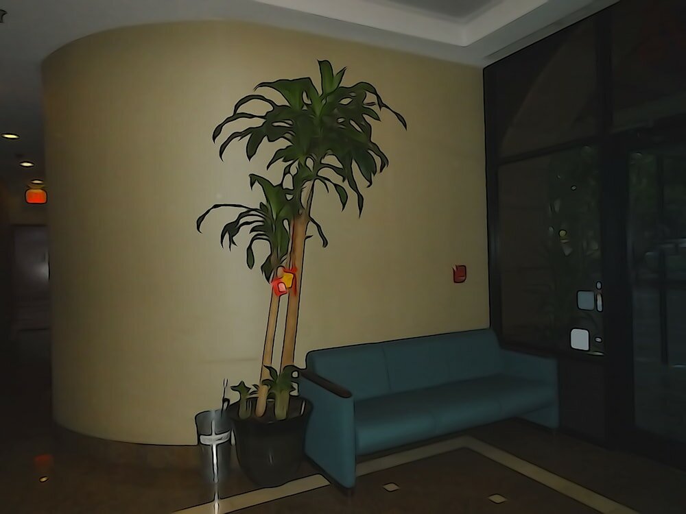 Фото Windsor Hotel