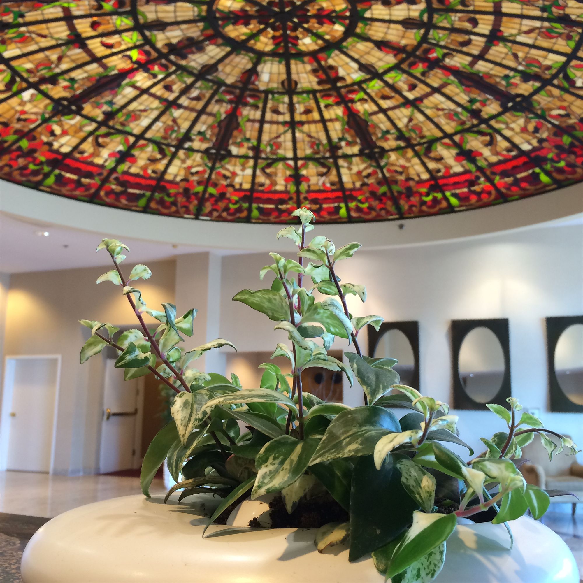 Фото The Grand Hotel