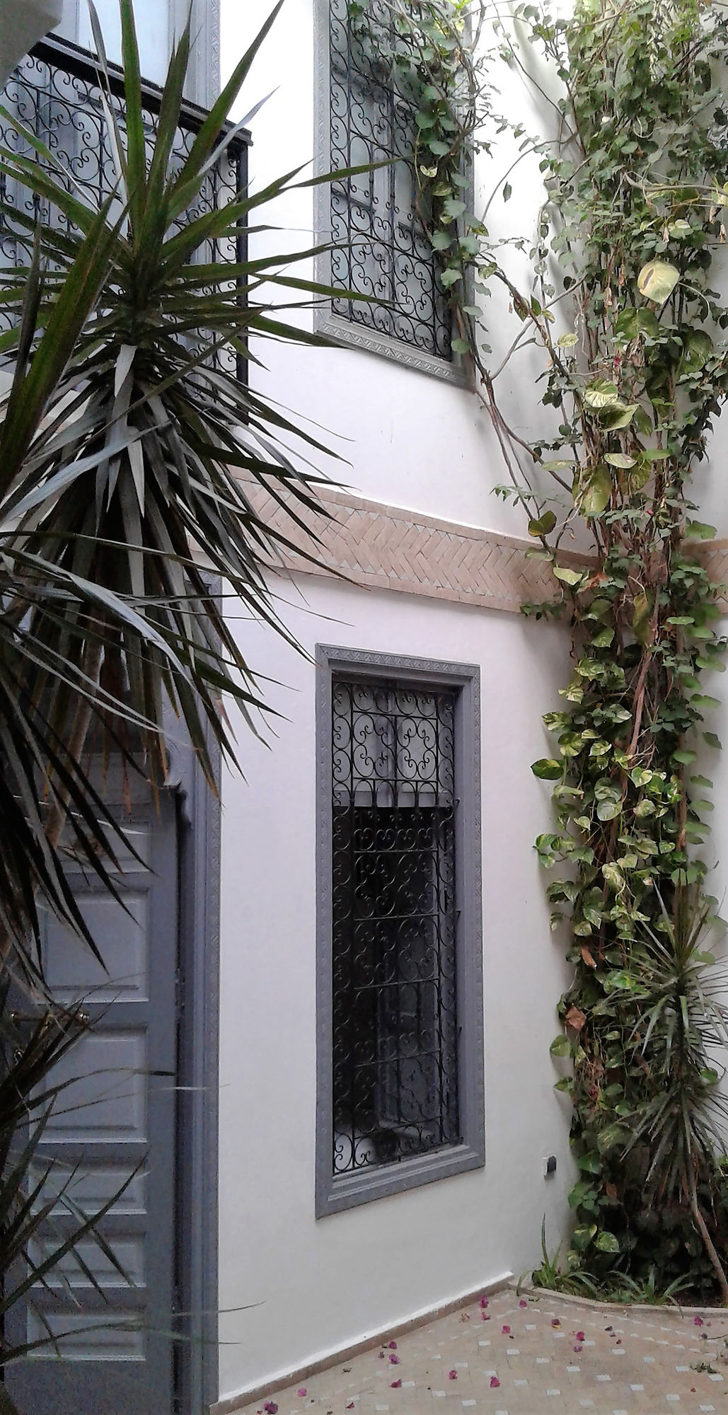 Фото Riad Les Jardins de Mouassine