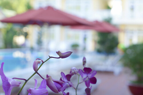 Гостиница Lam Ha Resort