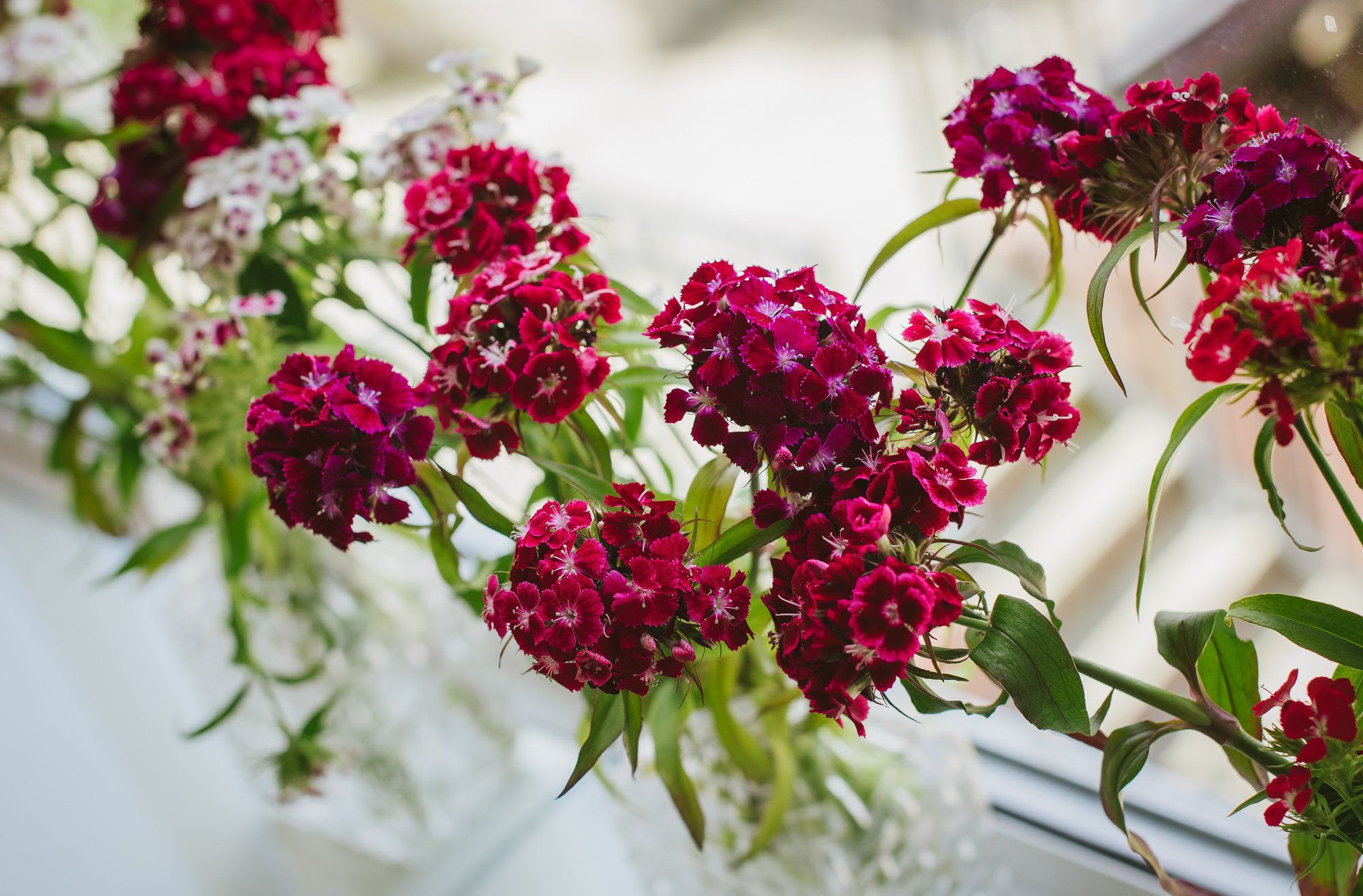 Фото Hotel Collingwood, Bw Signature Collection