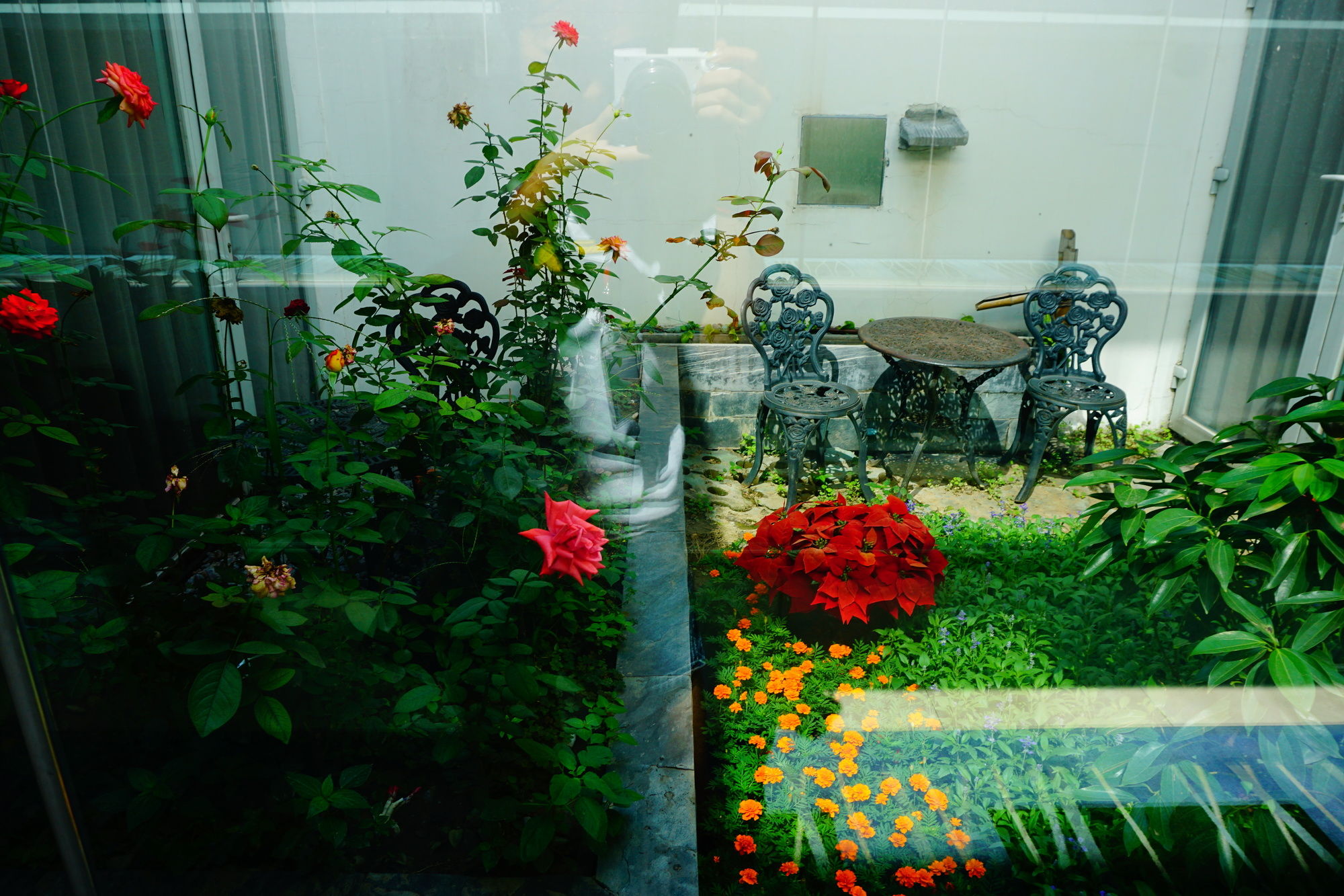 Фото Hotel Kapok Beijing - Forbidden City