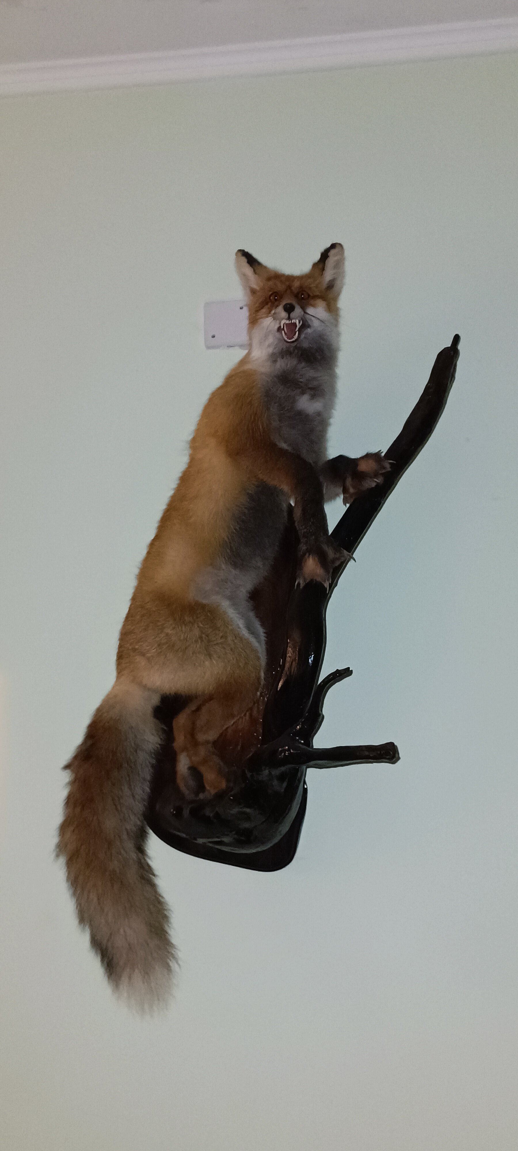 Фото Три охотника