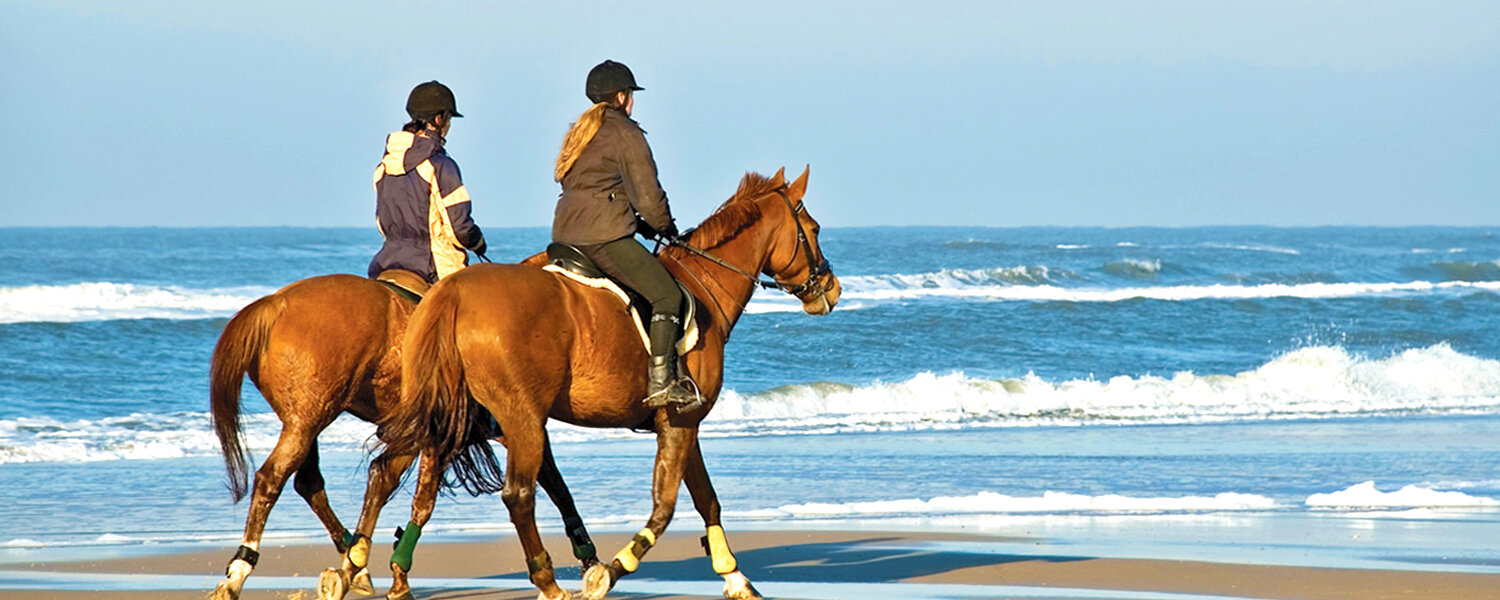 Фото Kedros Villas