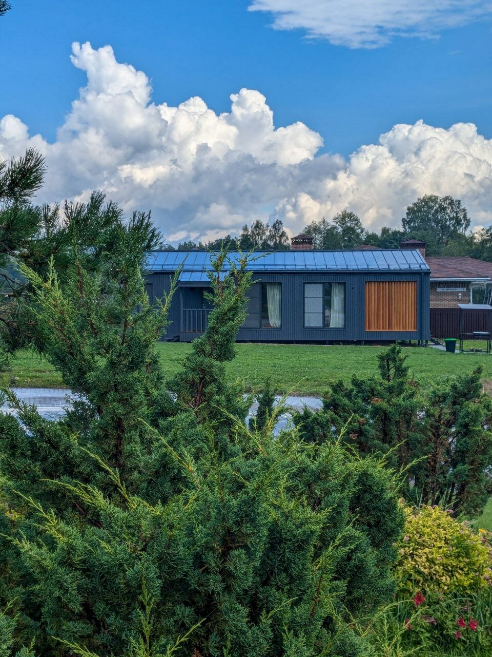 Фото Добро и Лес