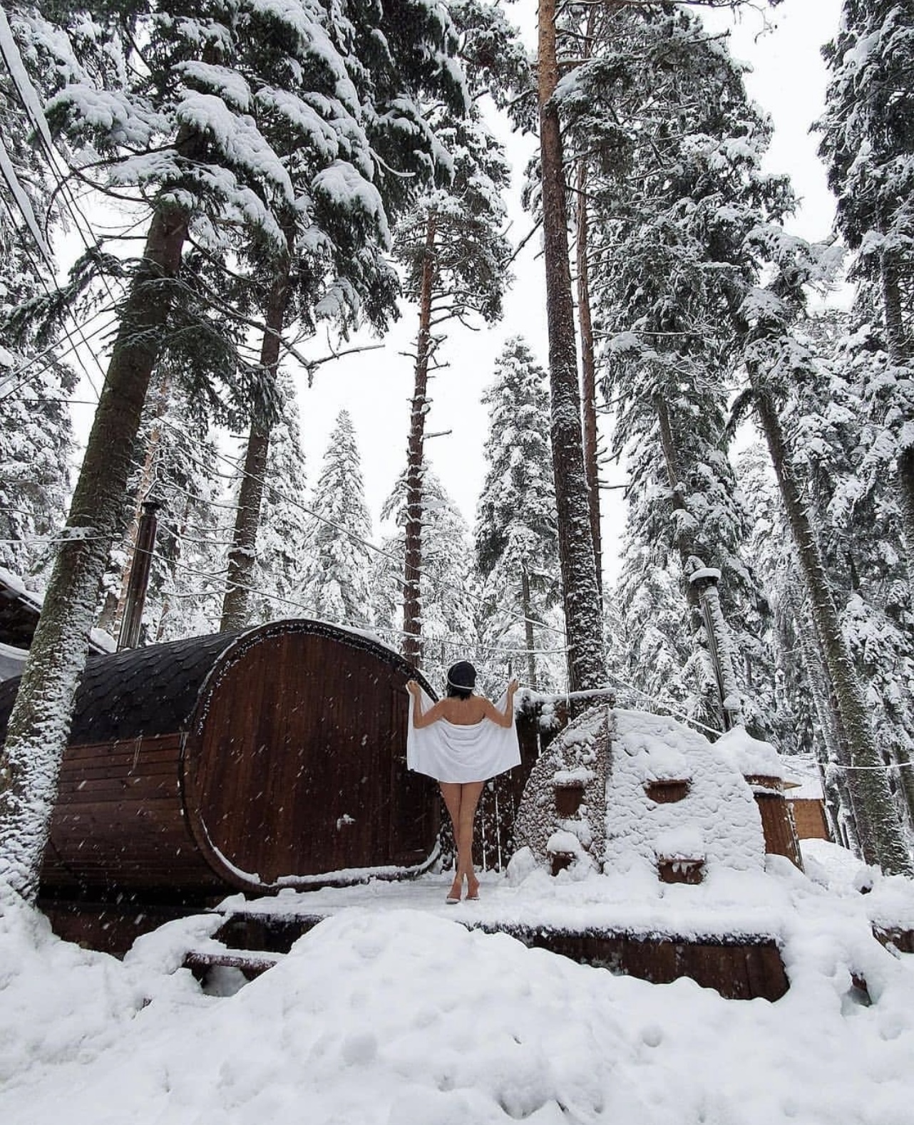 Фото Ёлки House