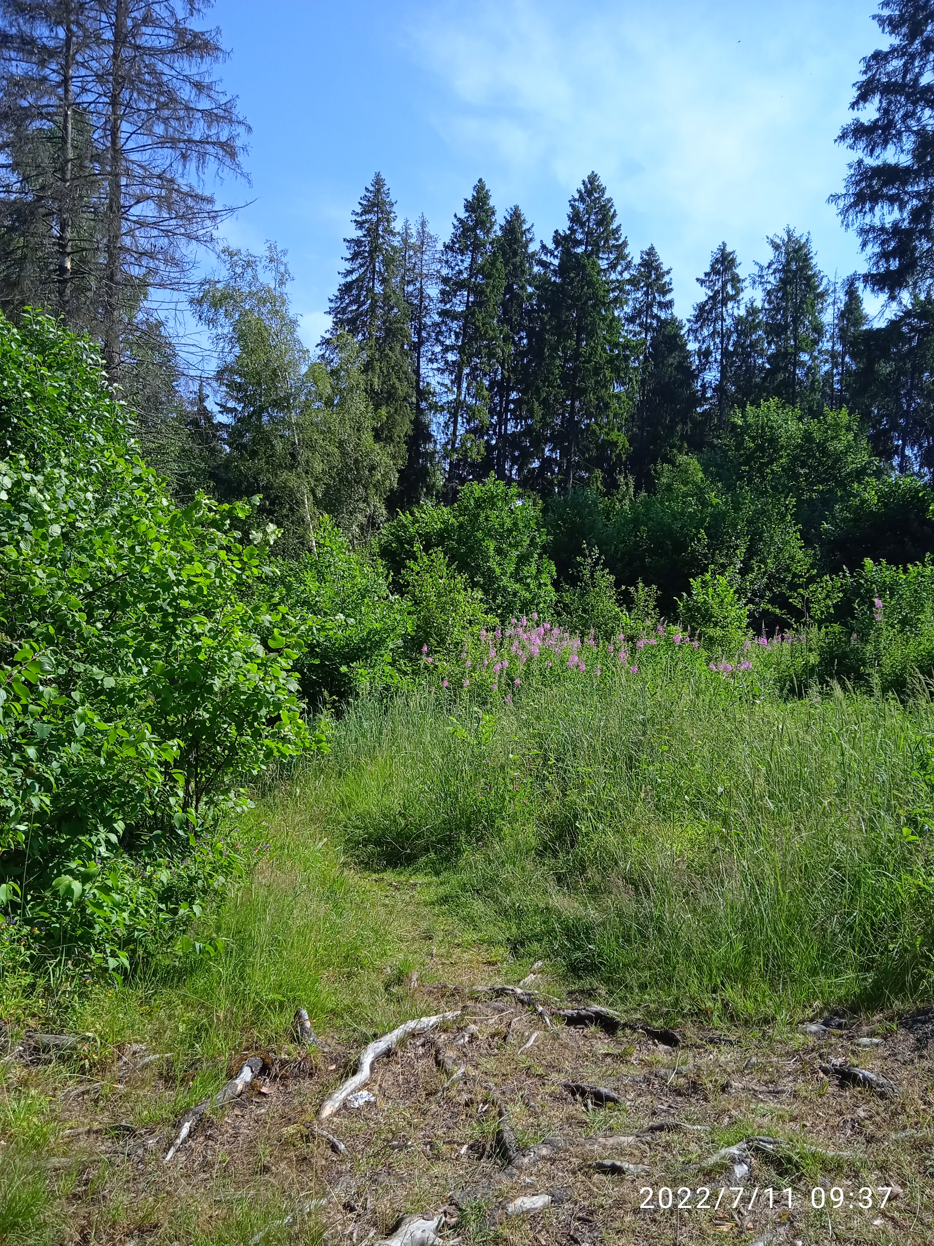 Фото Солонцово