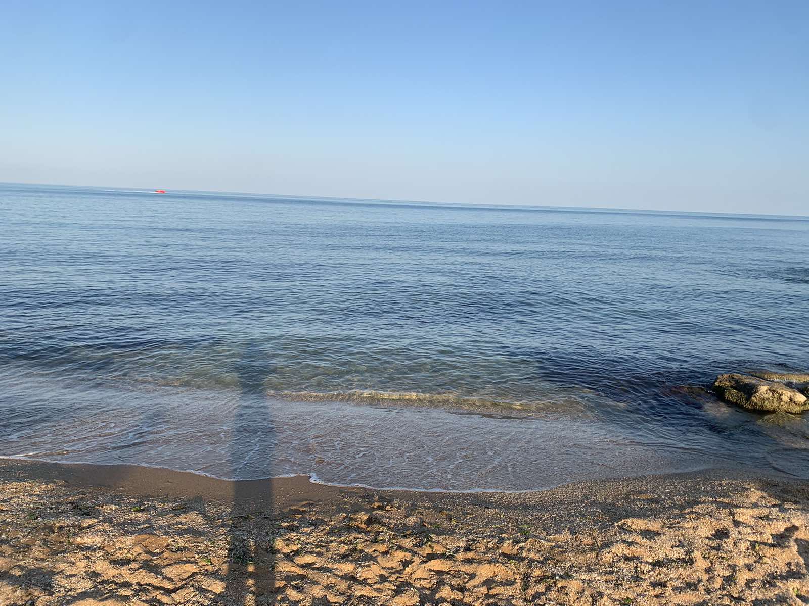 Фото Майами Хаус