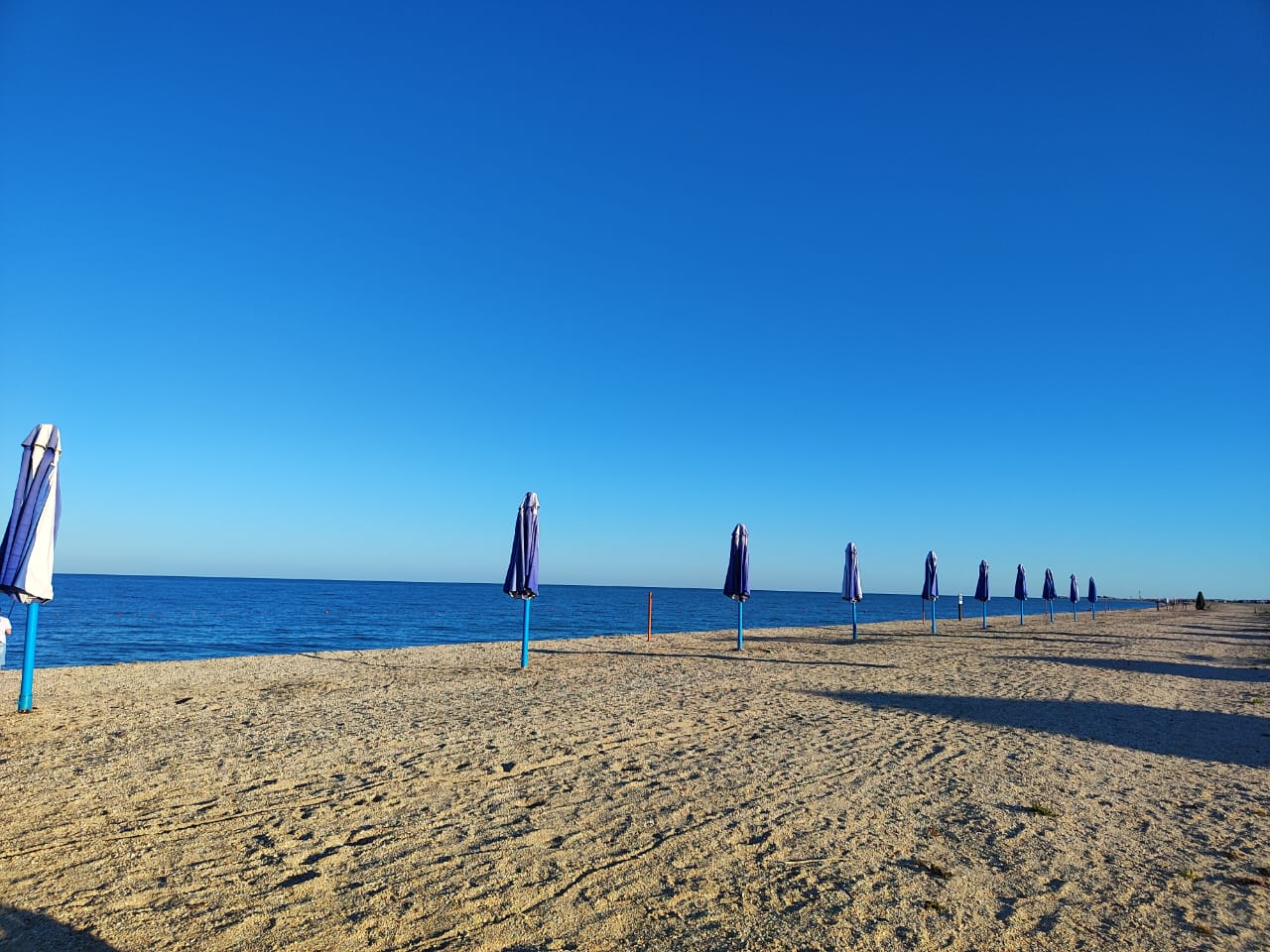 Фото Ковчег