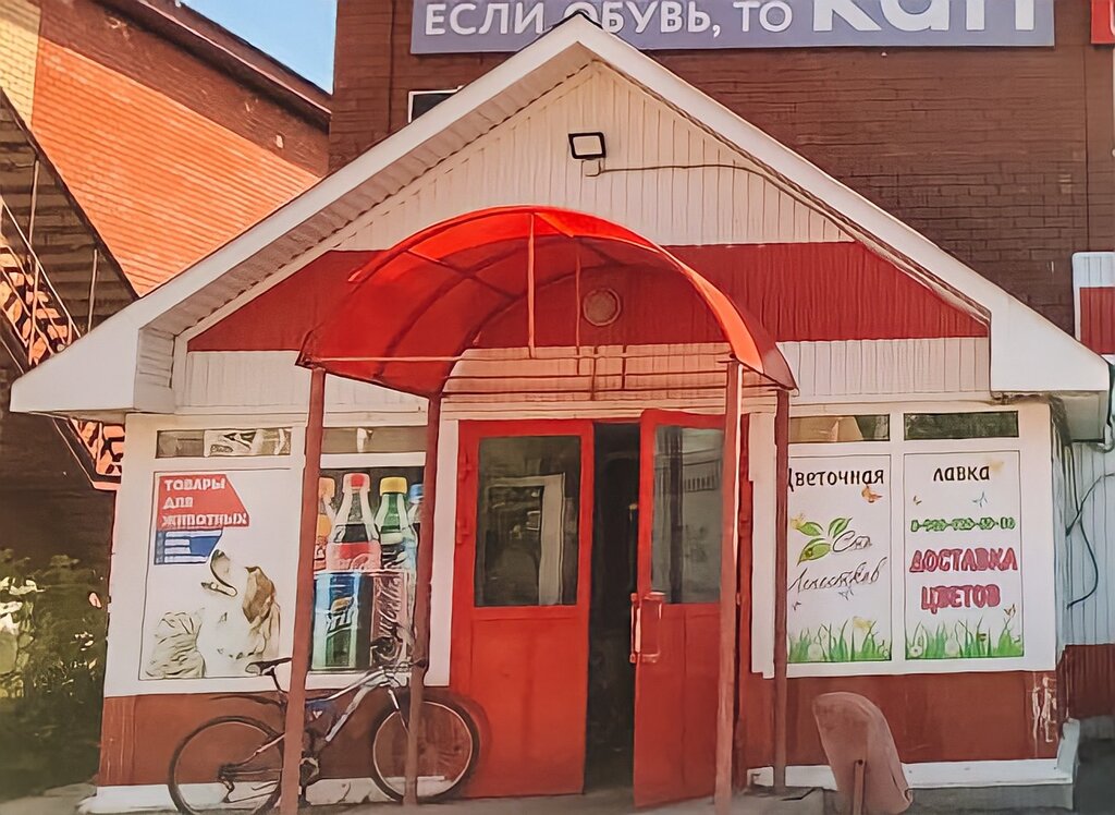 Hardware store Ladno Skladno, Chernushka, photo