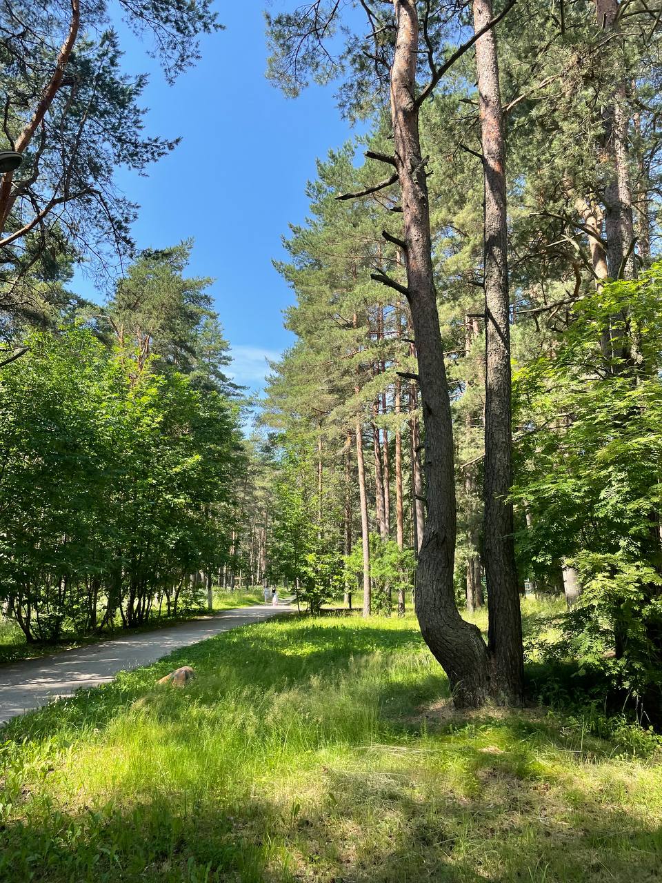 Фото Черёхин