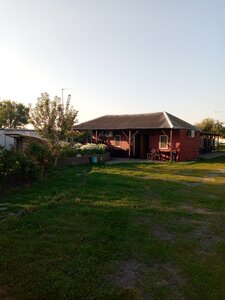 Экодомики