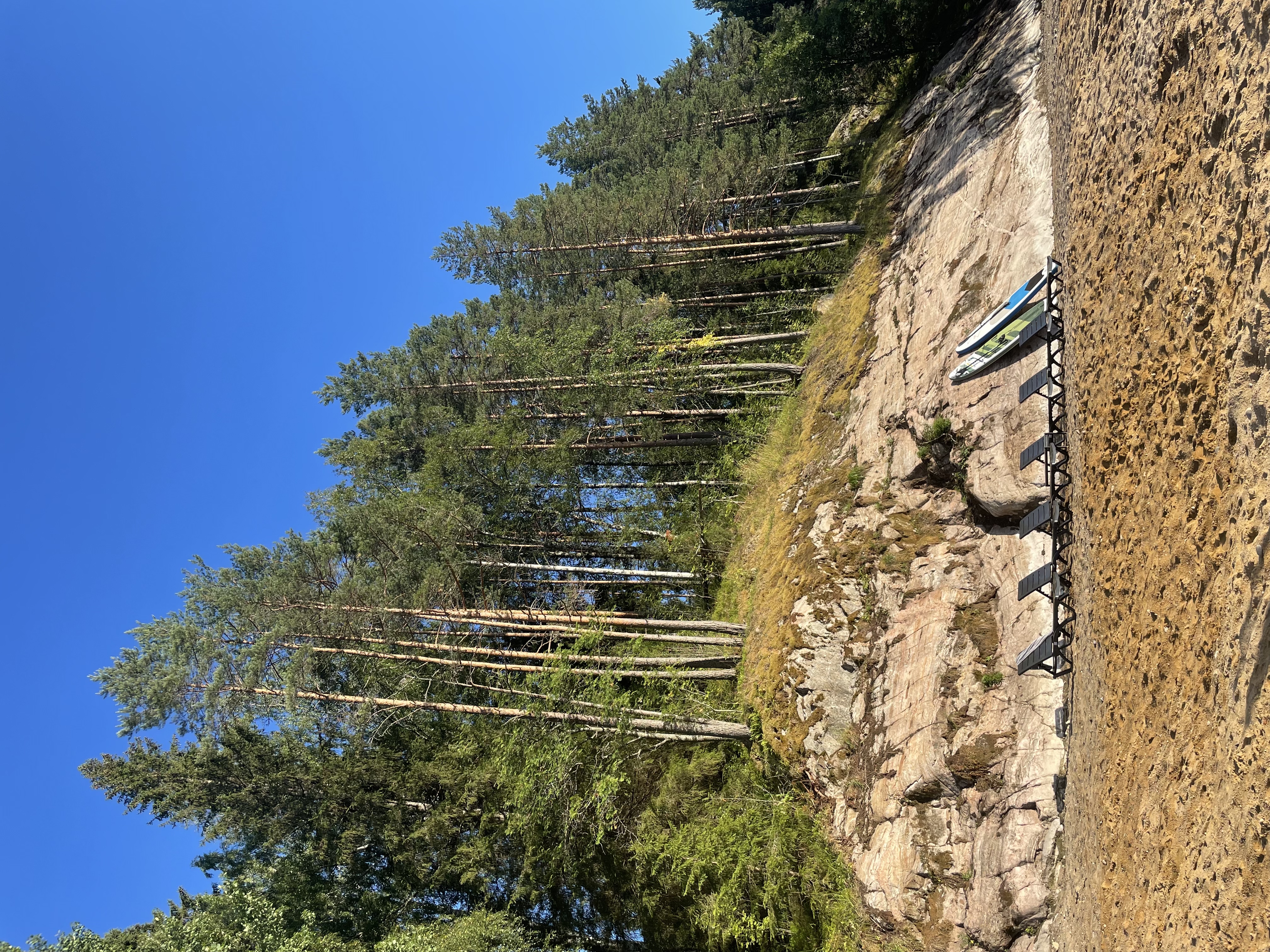 Фото Шелест