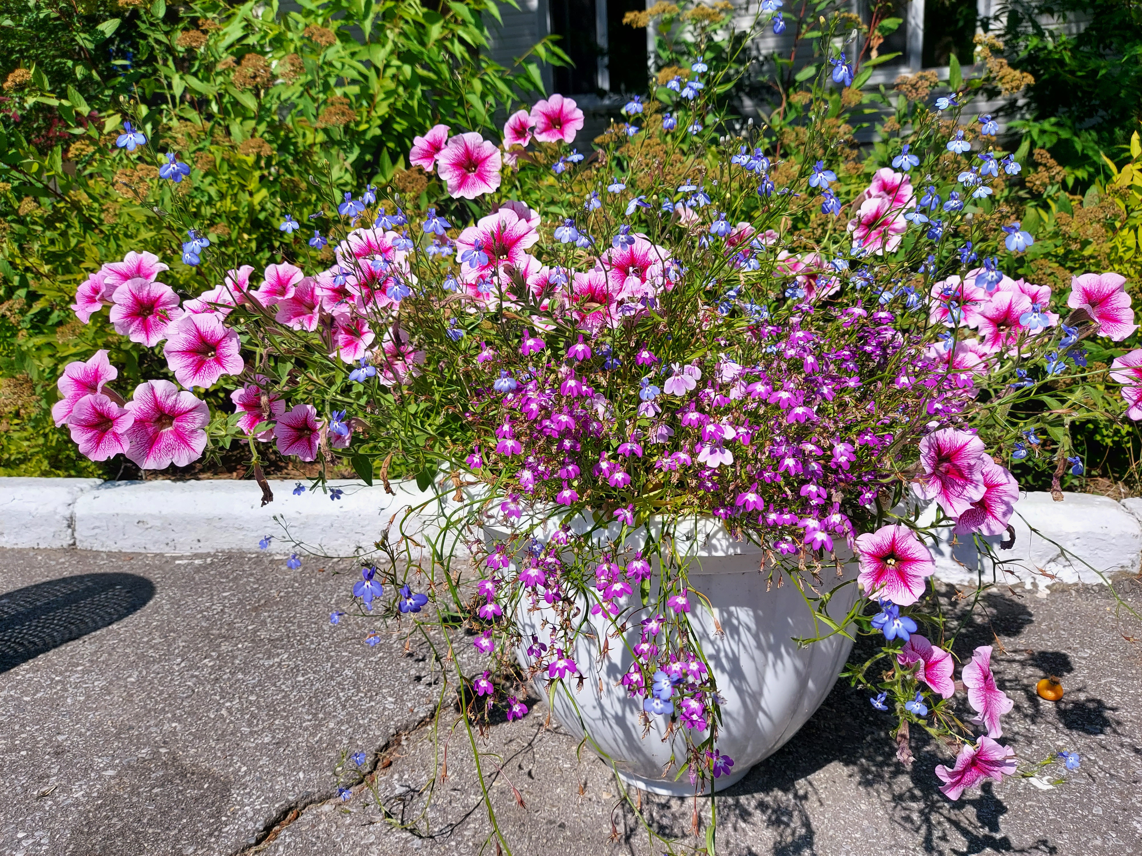 Фото База отдыха Яльчик