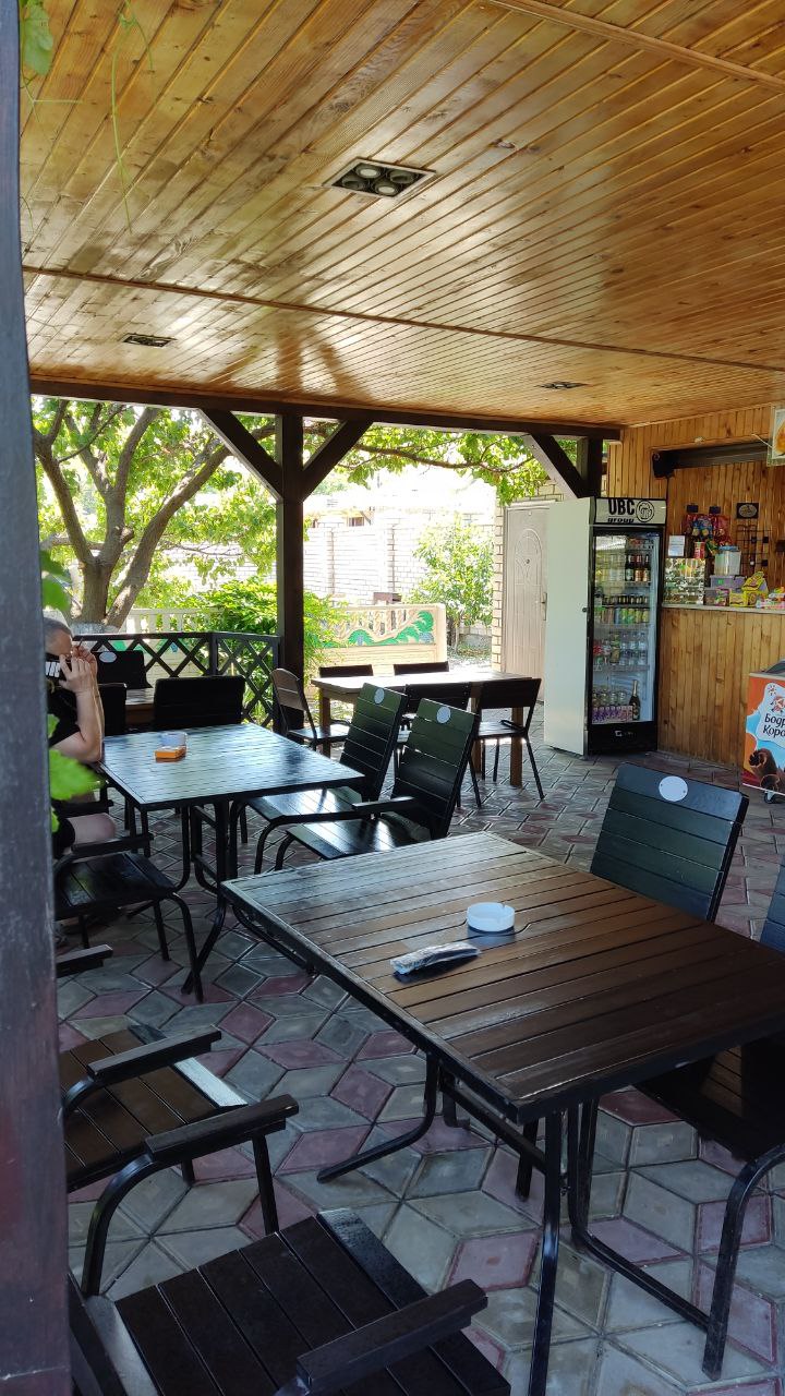 Фото Альбатрос