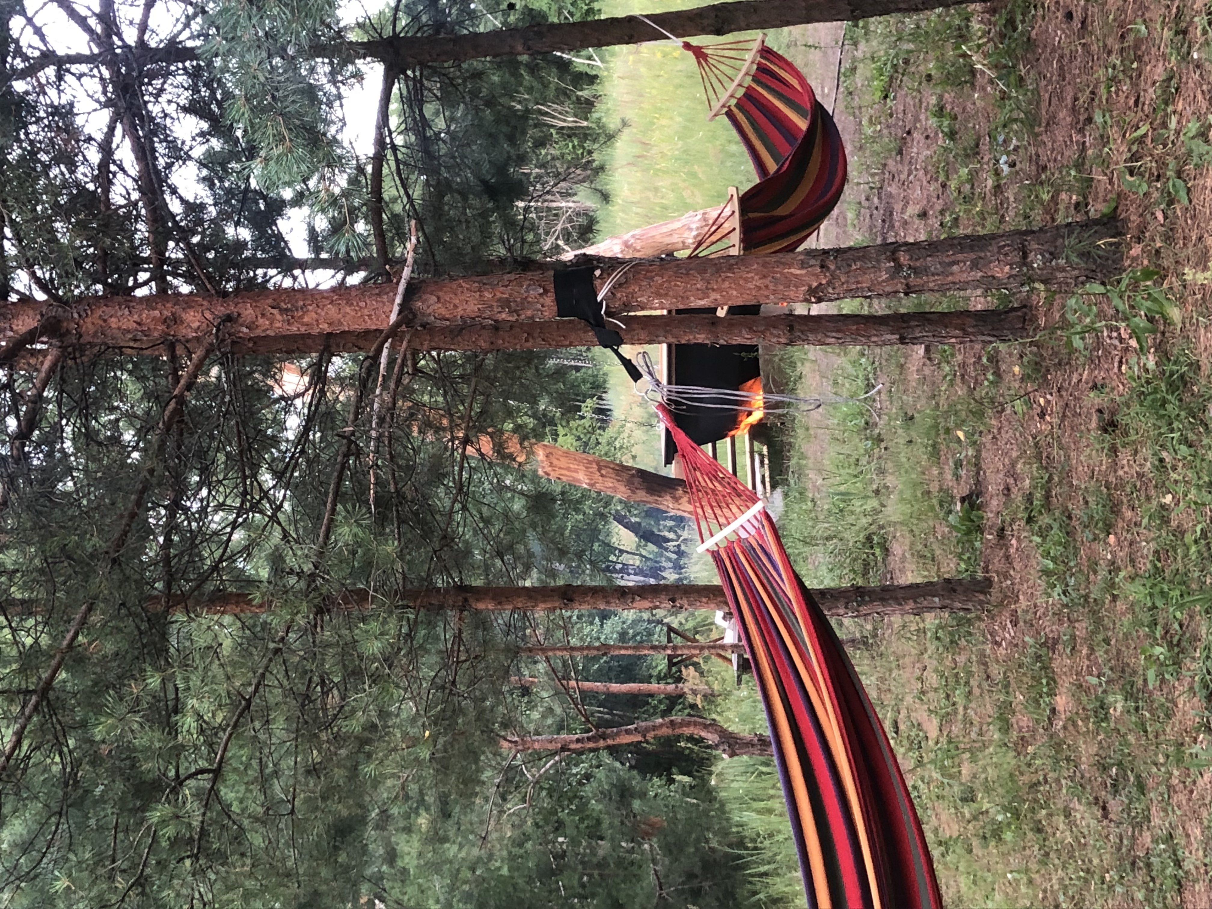 Фото В гостях у Лешего