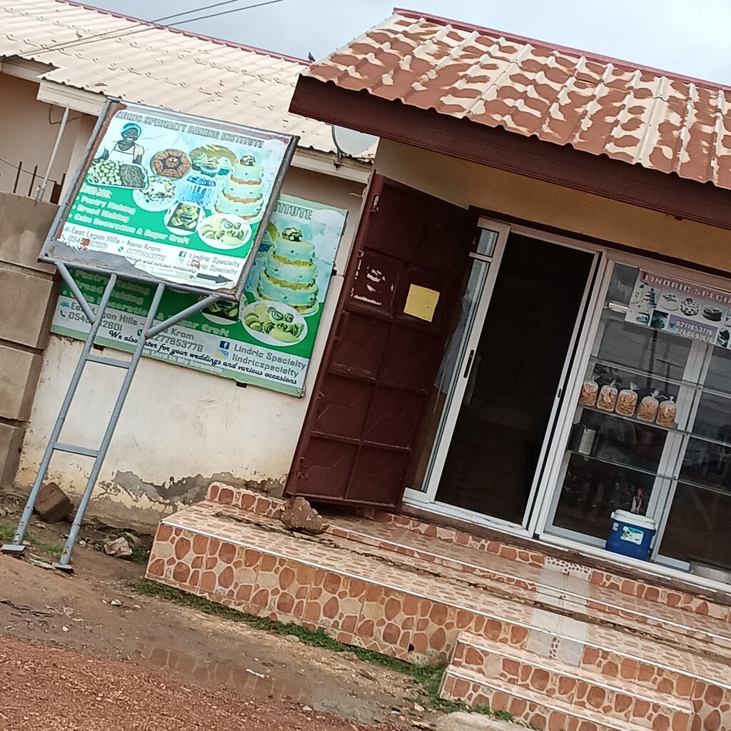 Business center Lindric specialty, Earth, photo