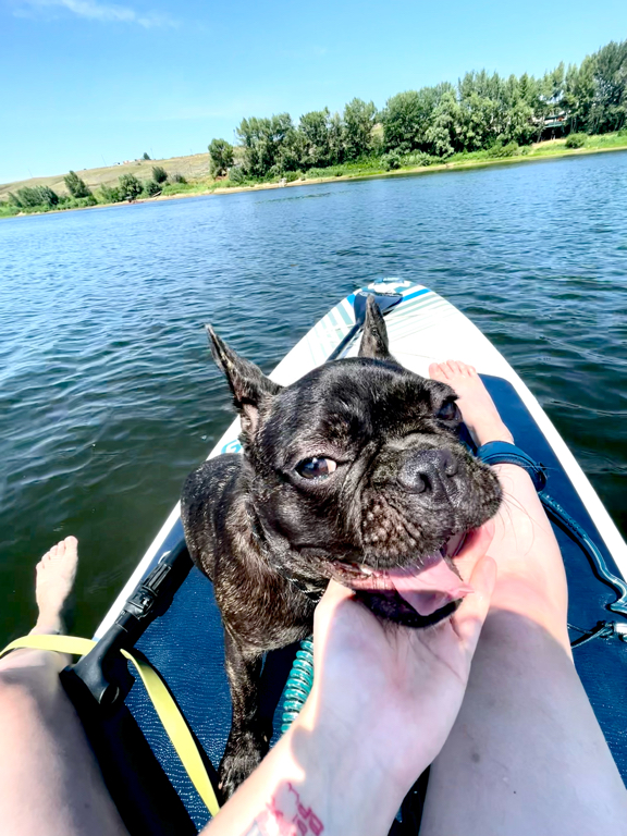 Фото Ветерок