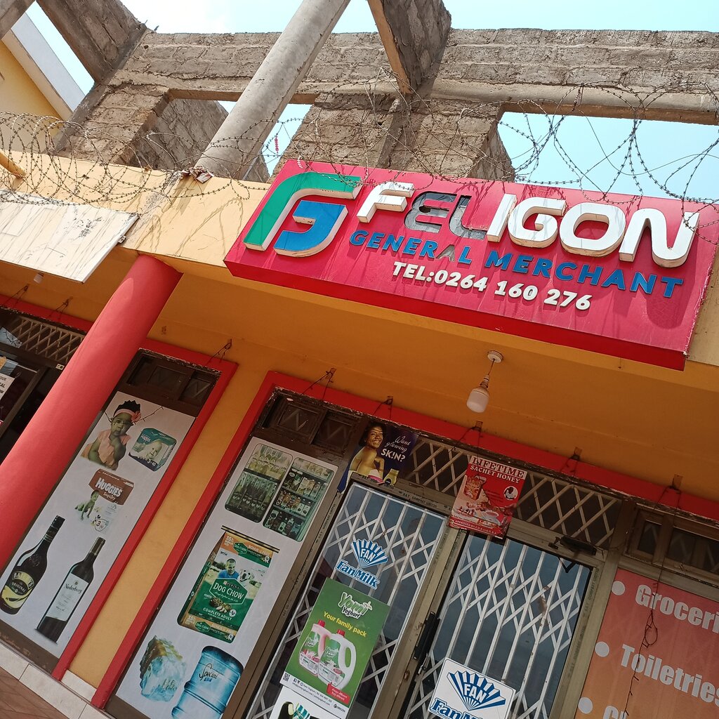 Business center Feligon general merchant, Earth, photo