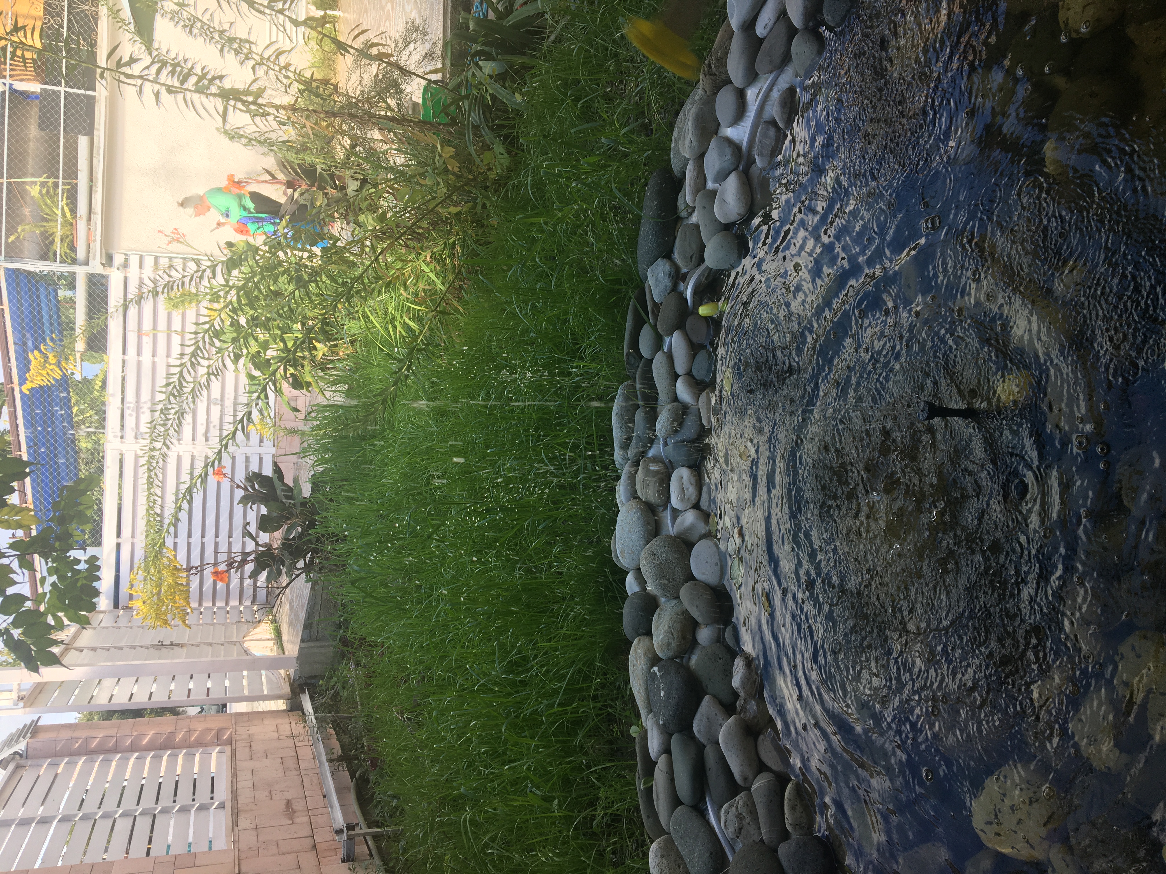 Фото VillaBlackSea