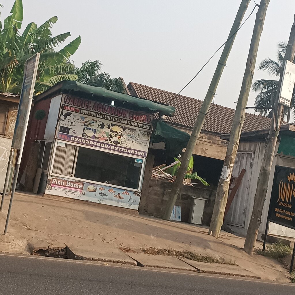 Oceanarium Gabriel Acquarium Centre, Earth, photo