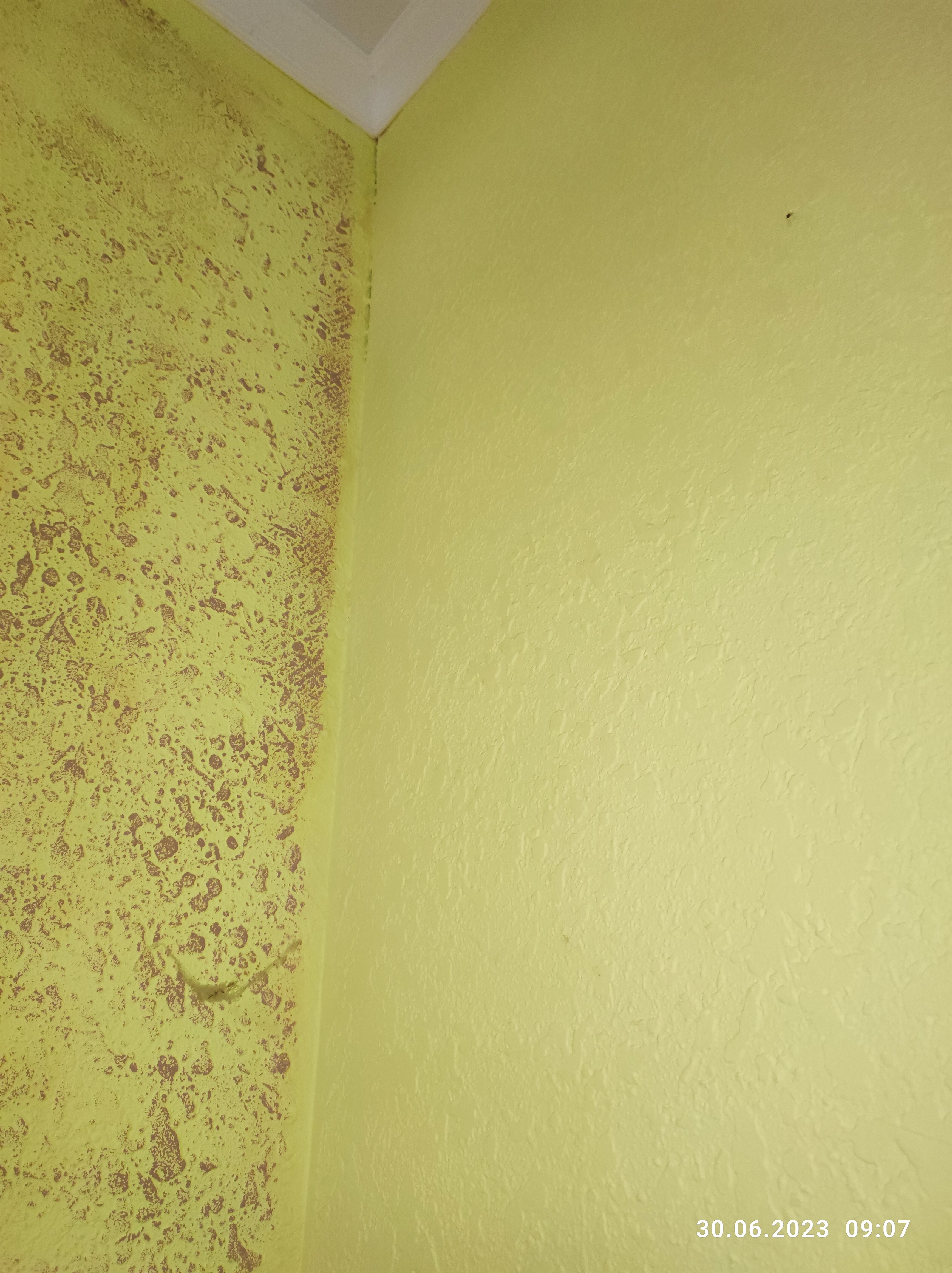 Фото Баунти