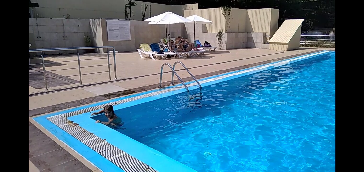 Фото Примула