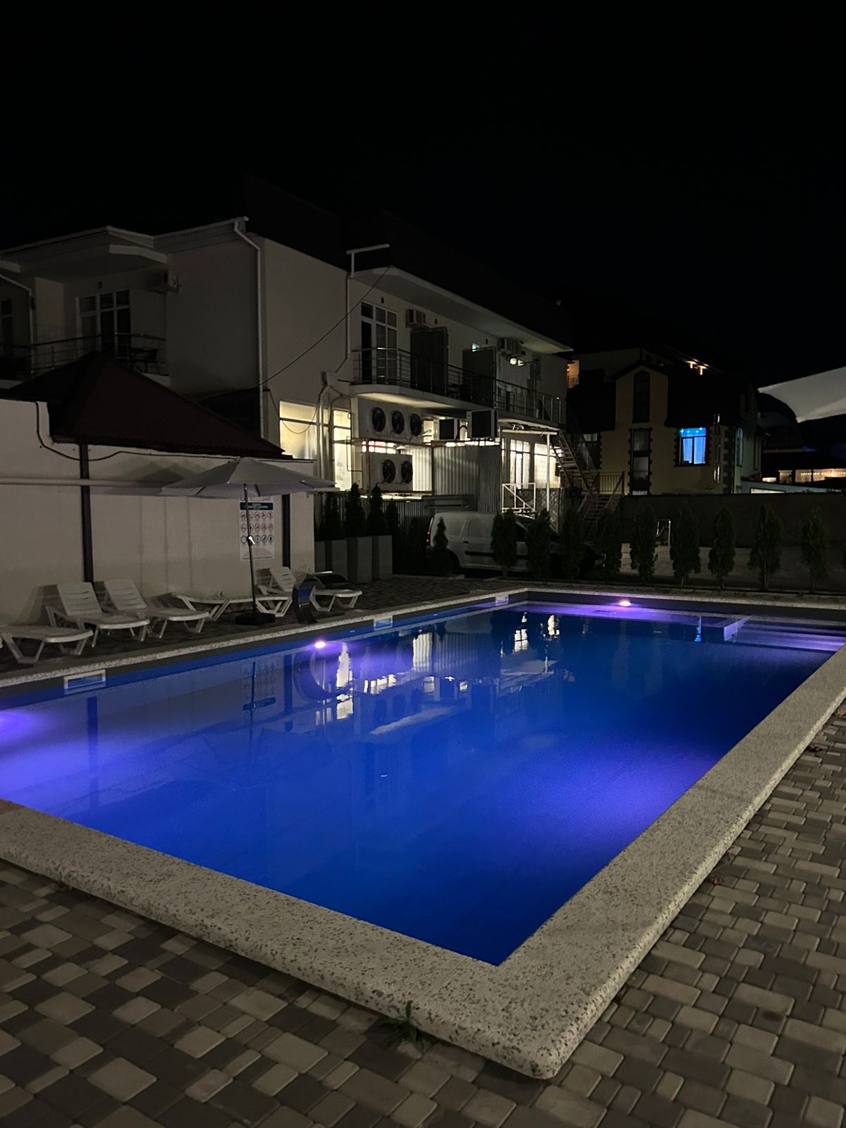 Фото Афалина+