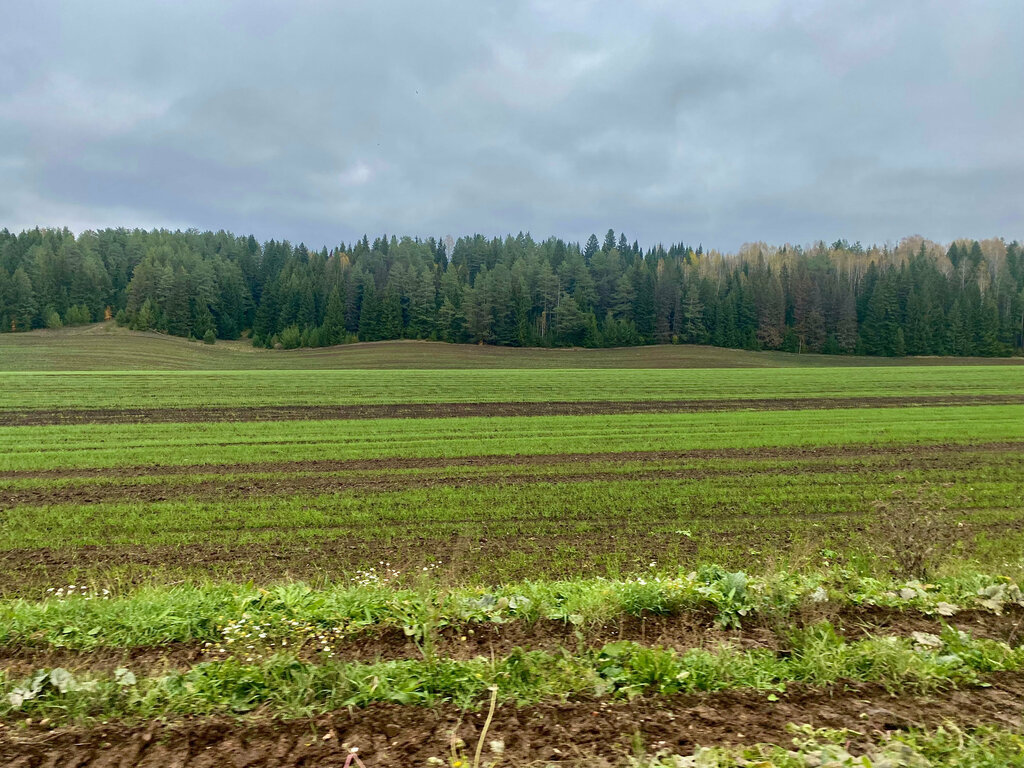 Agricultural enterprise Agrofirma Trud, Perm Krai, photo