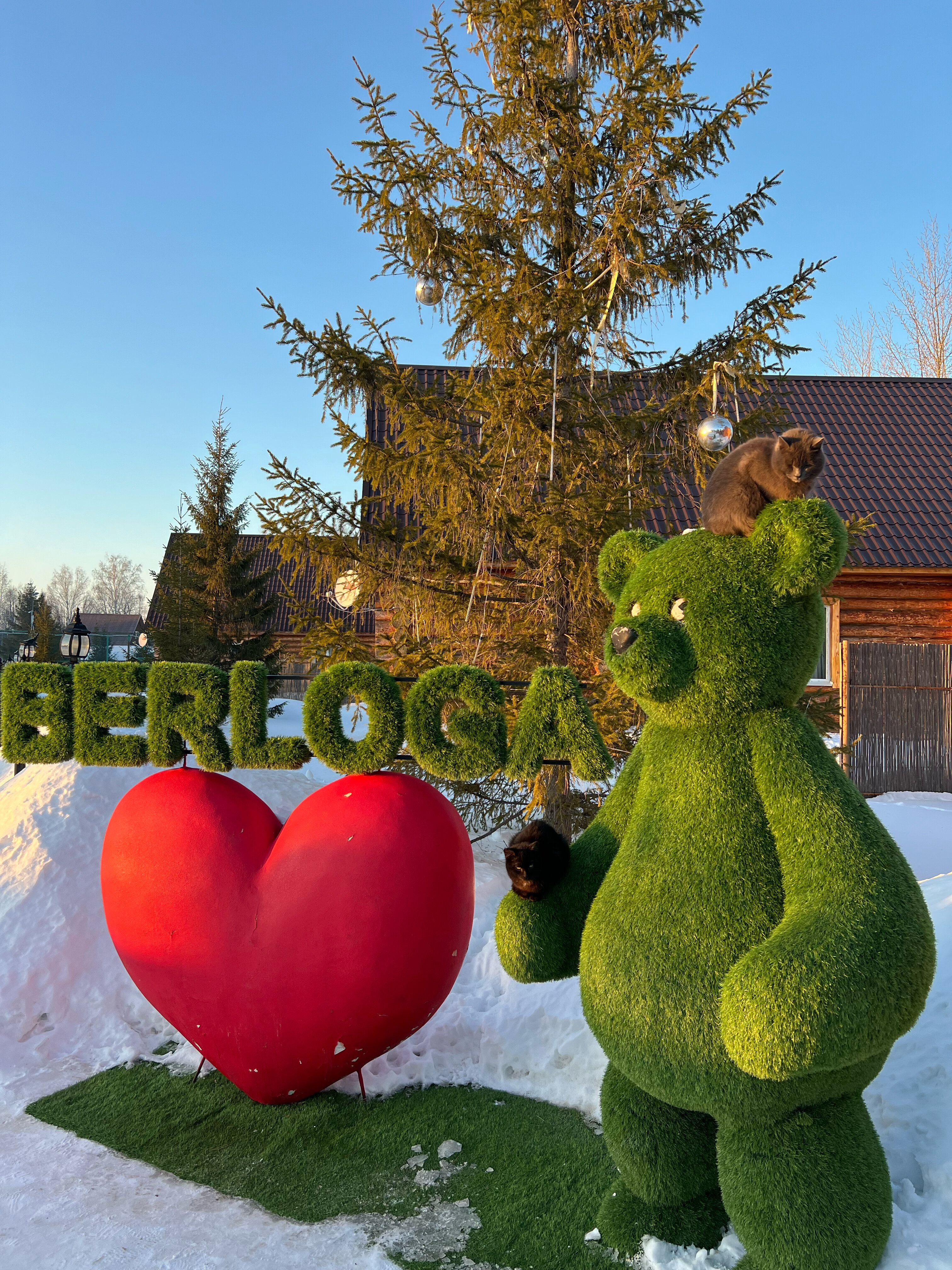 Фото Берлога