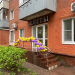 Viva Flowers (Mashtakova Street, 9), floristeria