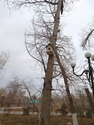 Эрос порно фото жақын